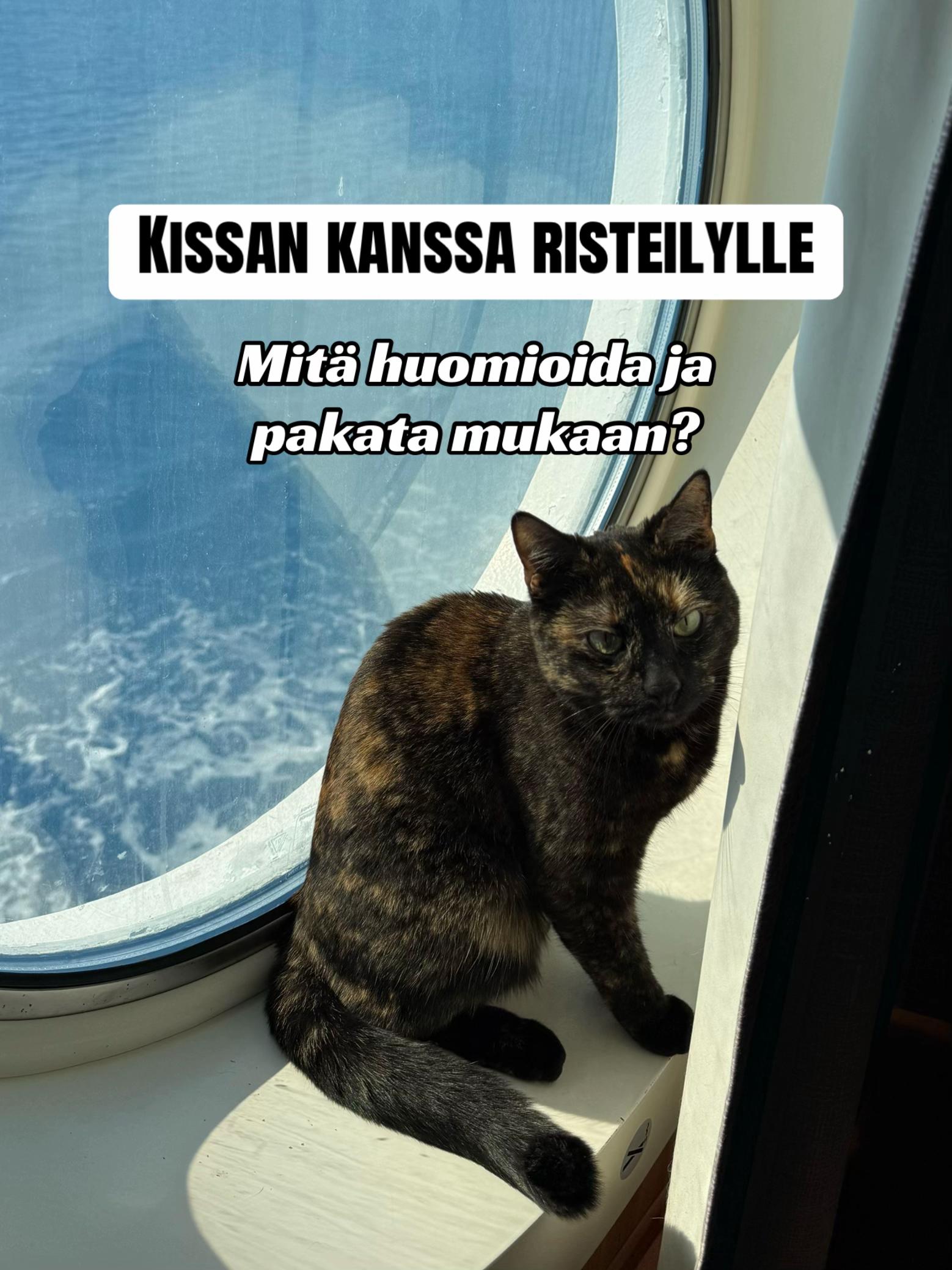 @Omanlaista elämää 🏳️🌈