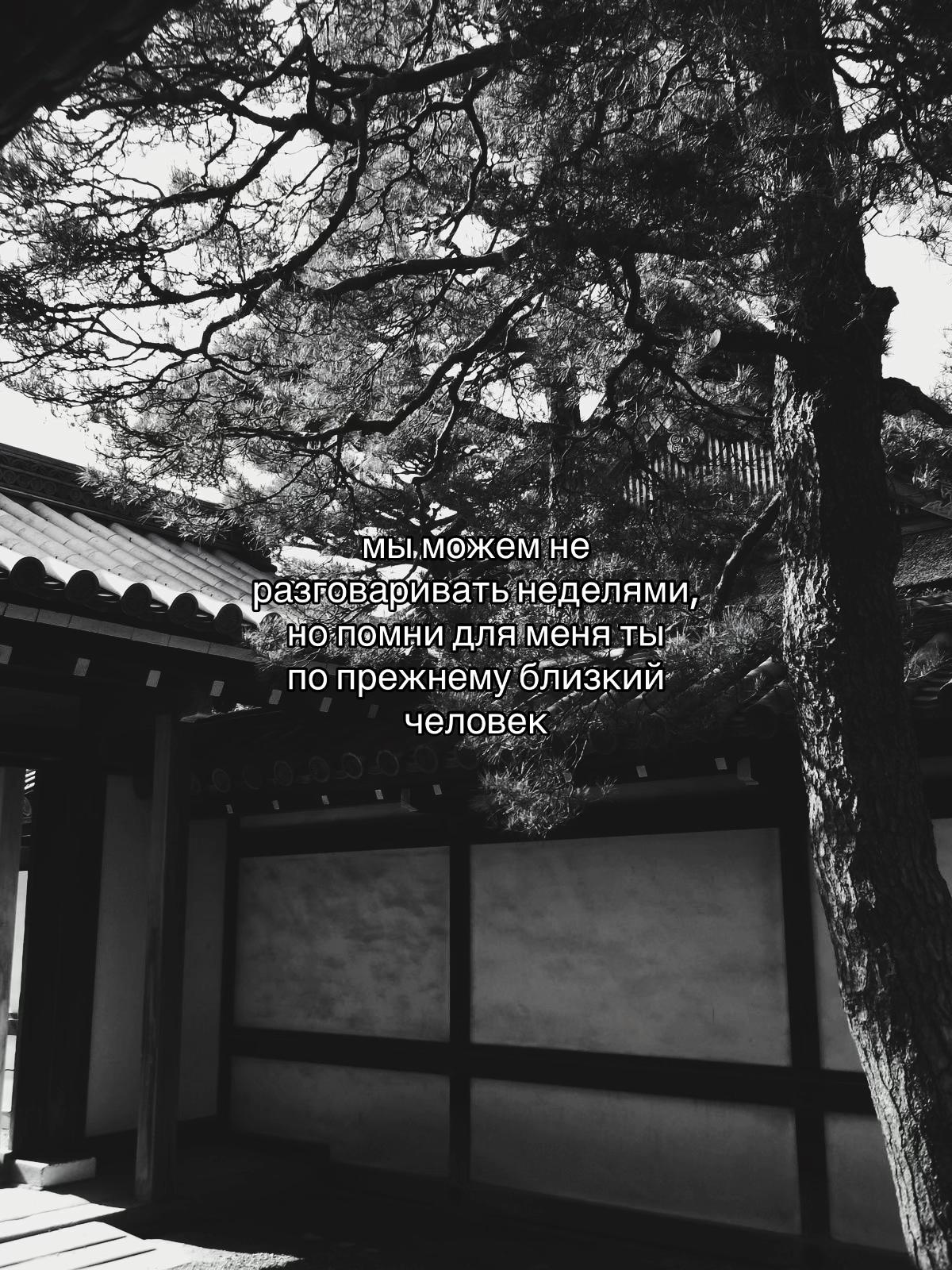 @челобэка𓍢ִ໋ ༘