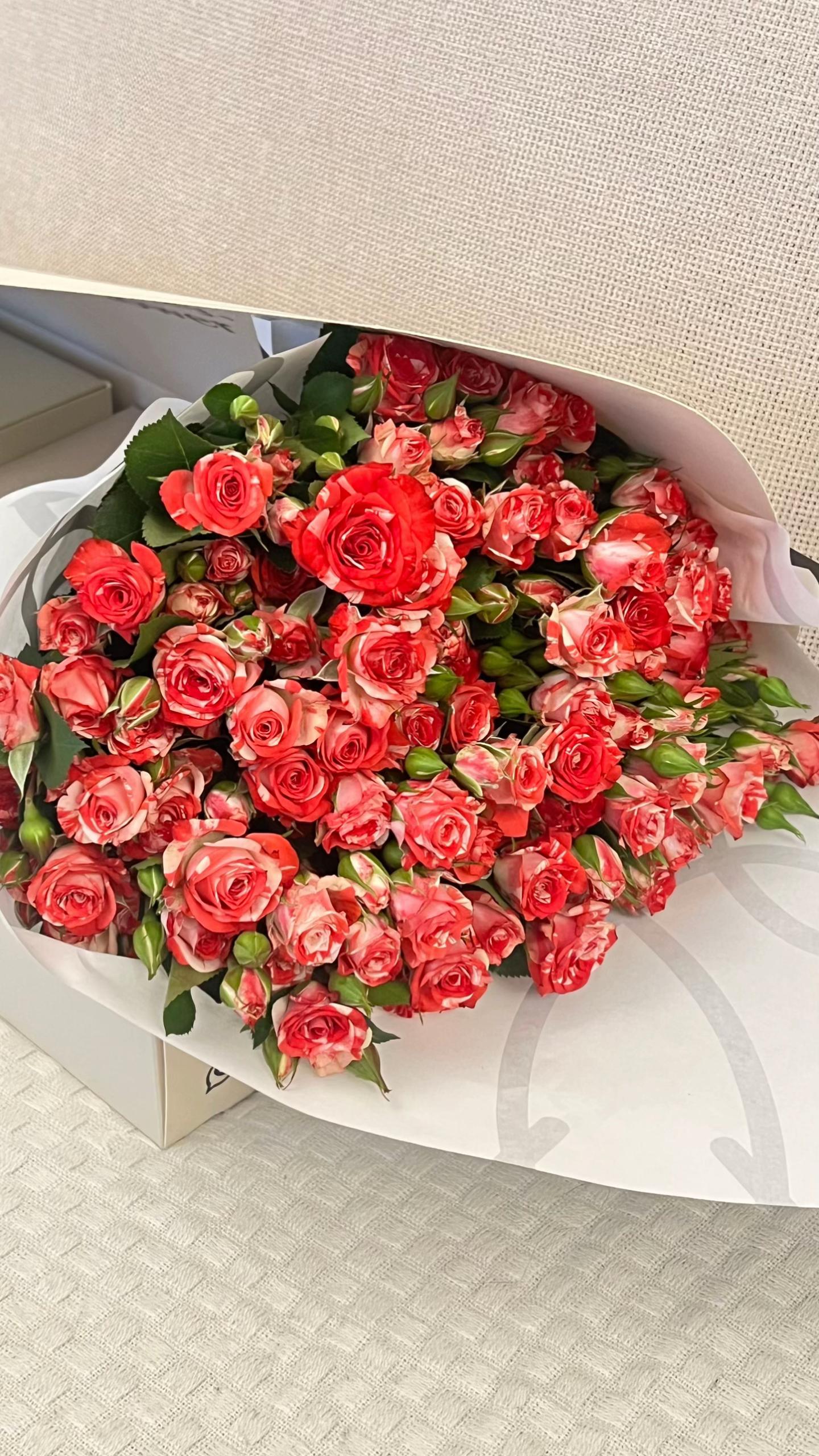 @هيا | HAYA