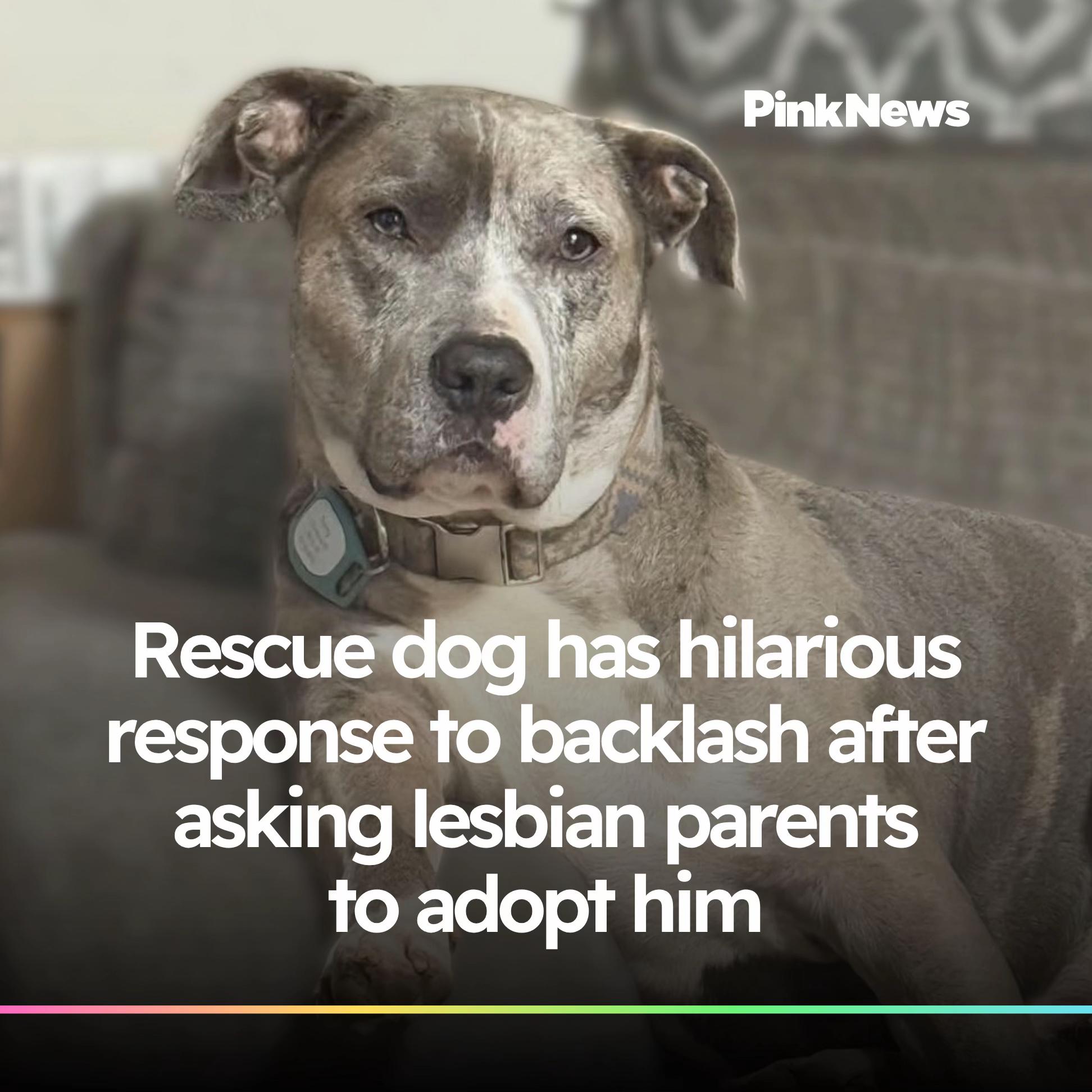 @PinkNews 🏳️🌈🏳️⚧️