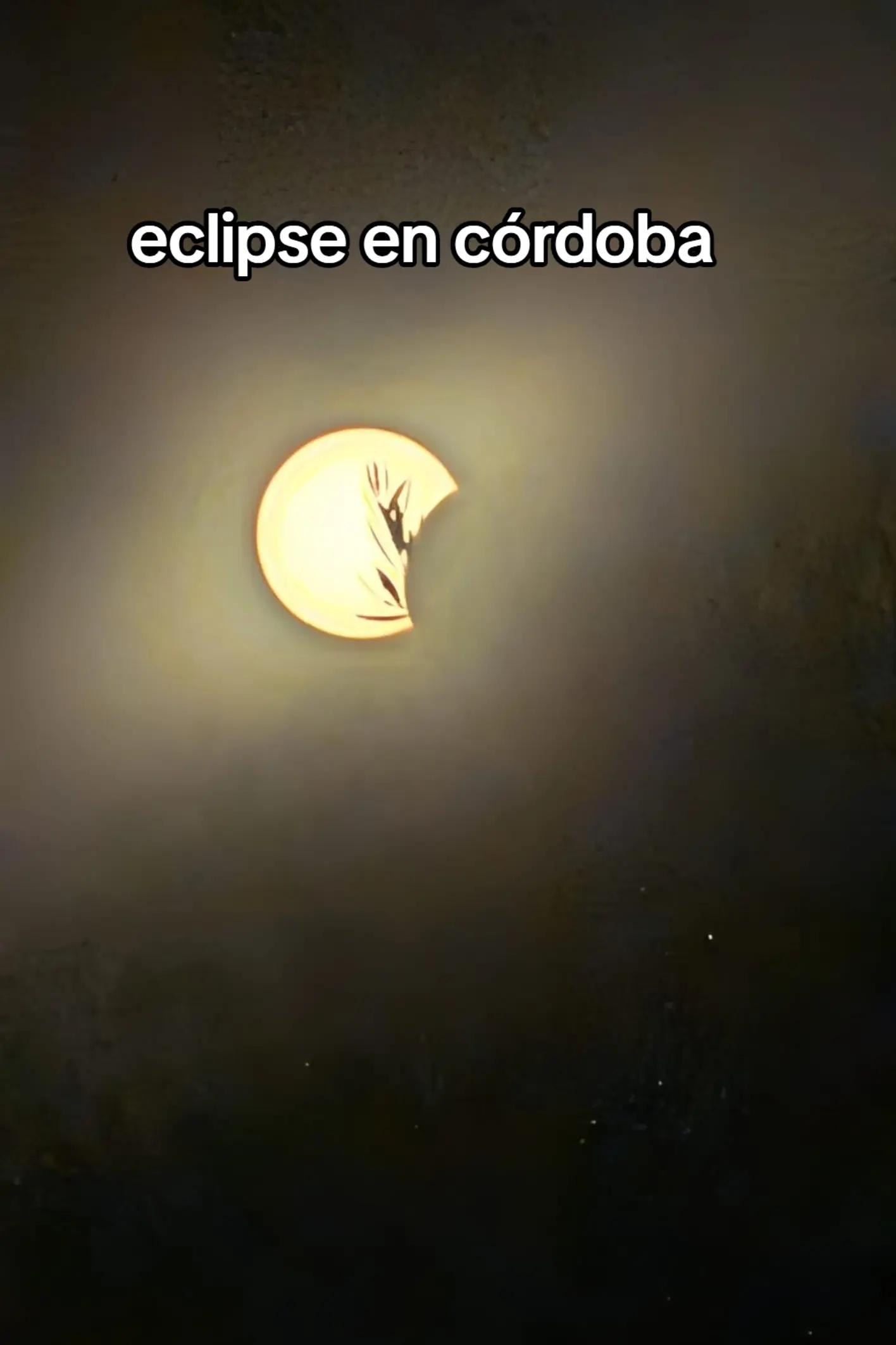 @Elena Jurado Diaz