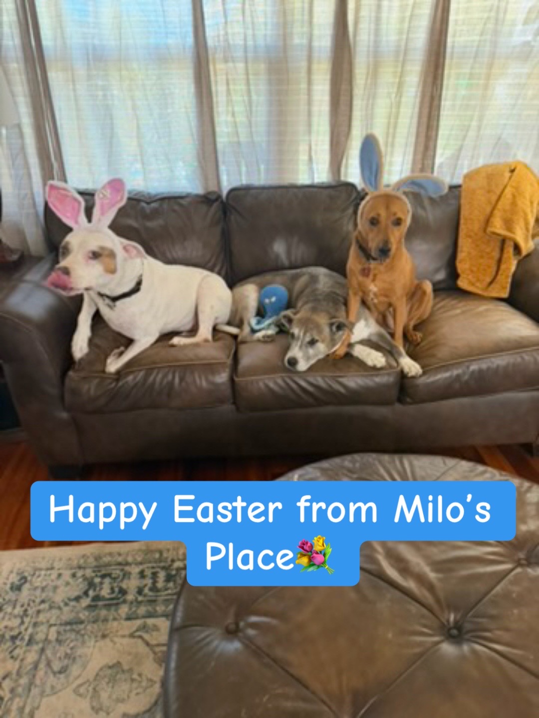 @Milos Place Wellness