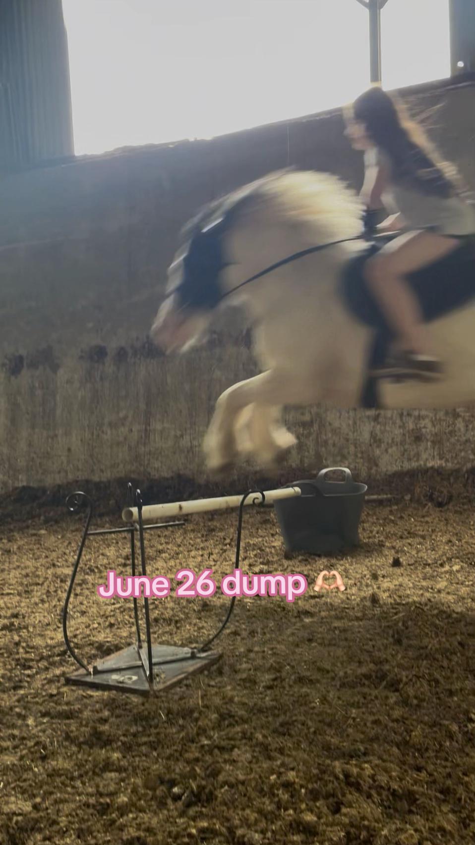 @Zara’spam🇮🇪🐴