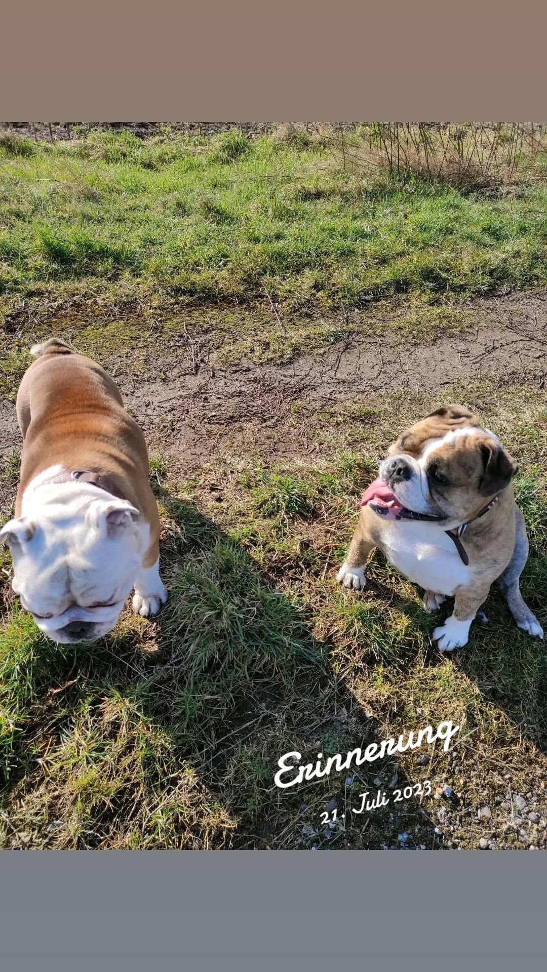 @cori.friedy.toni