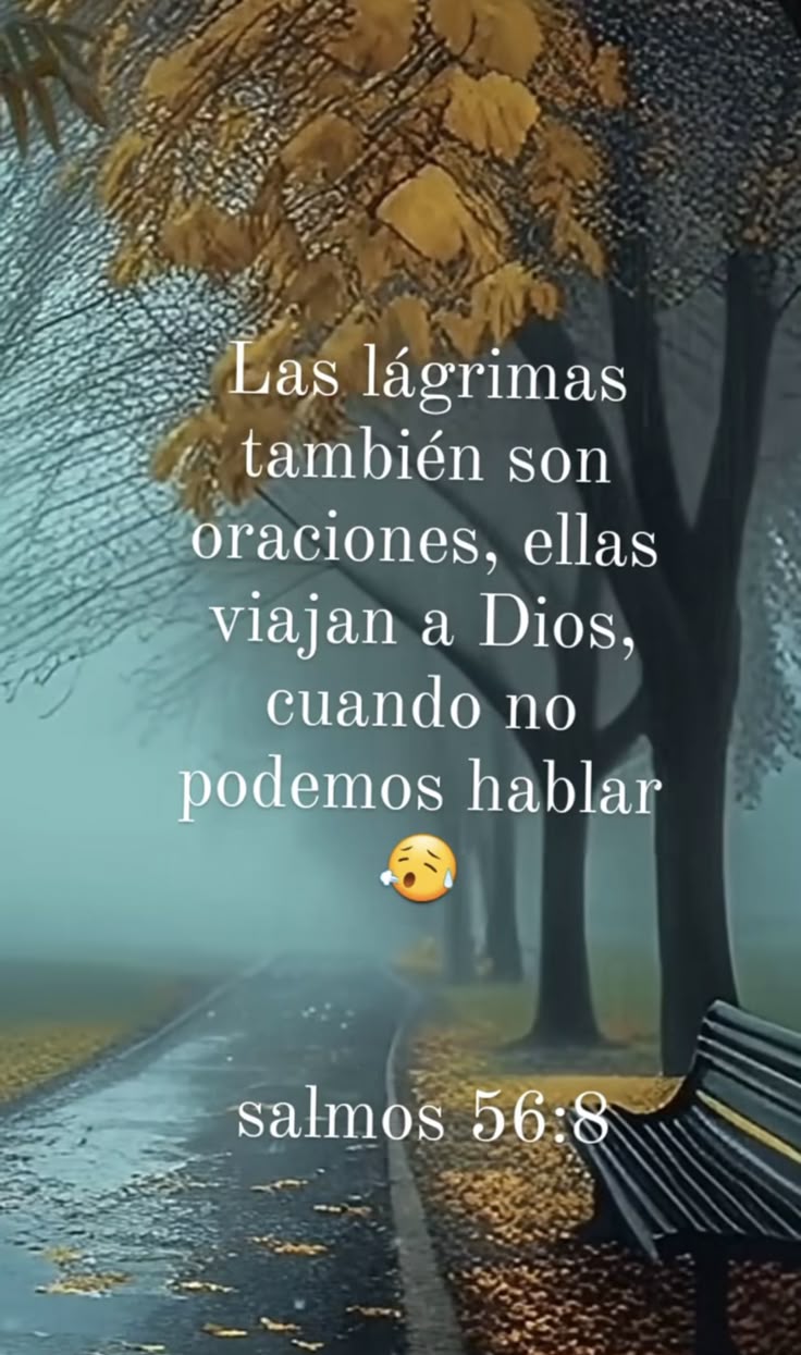@Ingrid Moreno