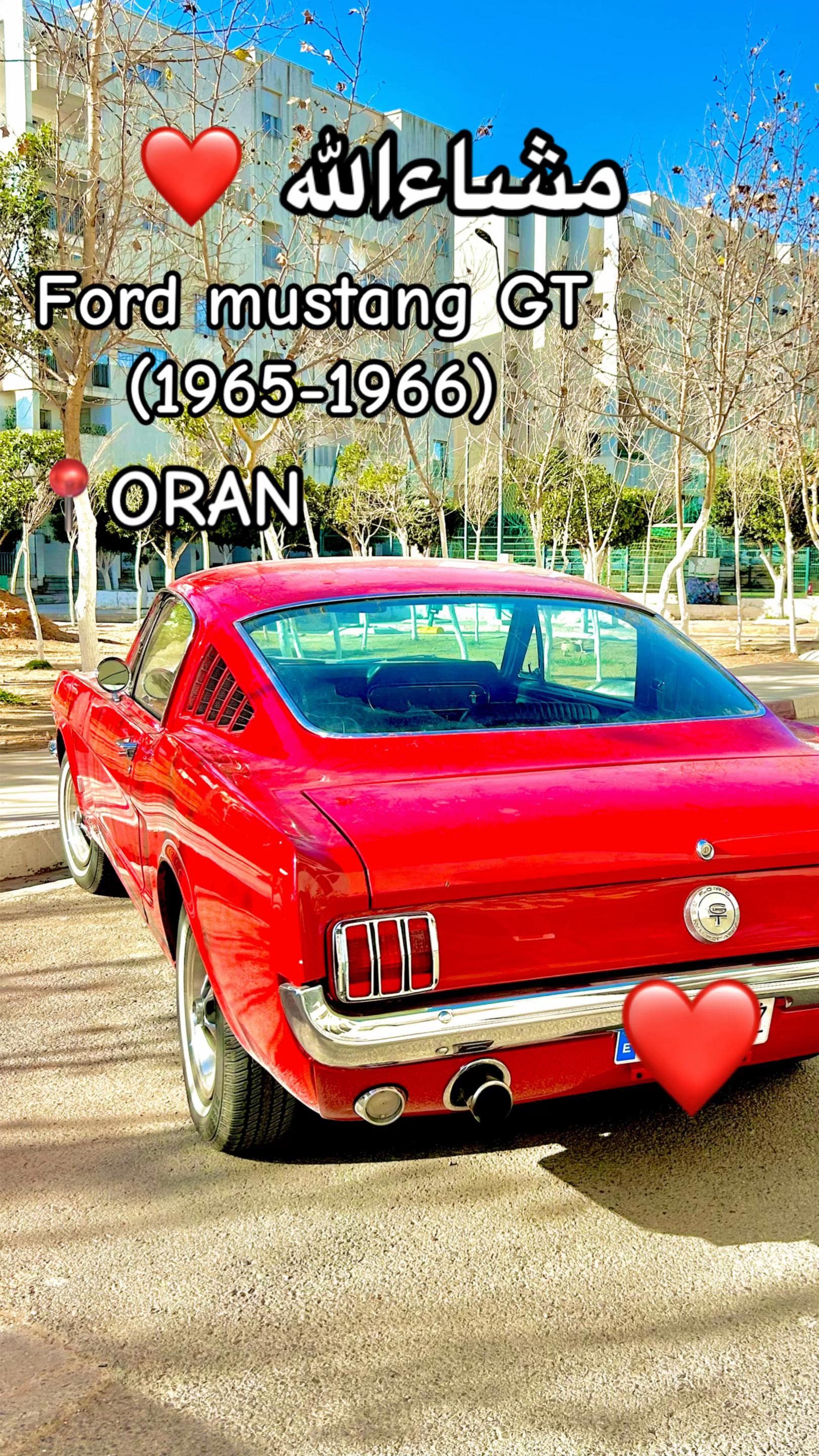 @toufik31❤️