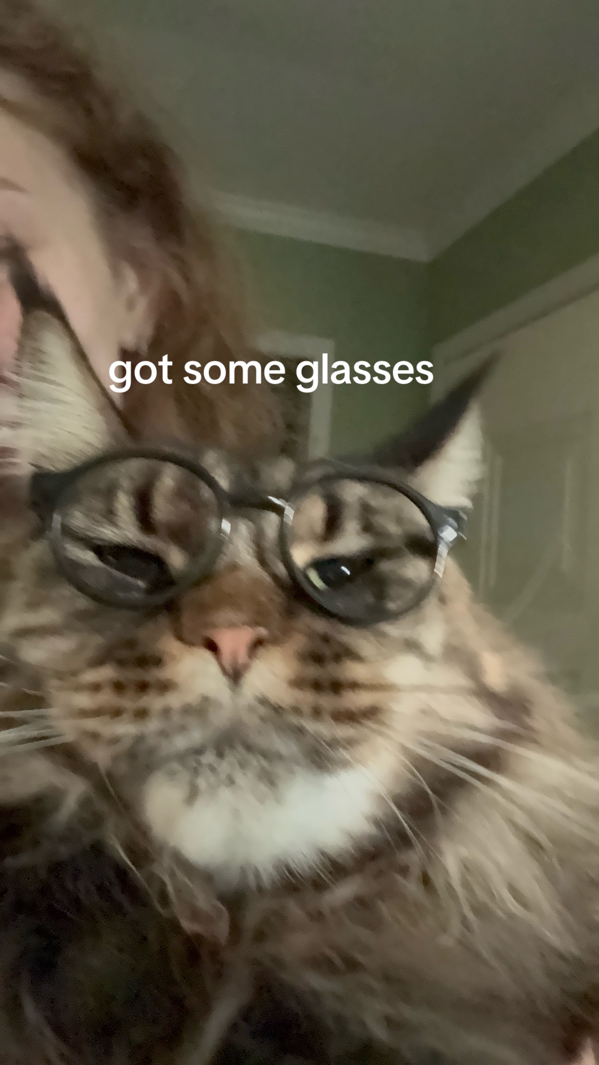 @maryyy🍄🧚🌙🐈⬛