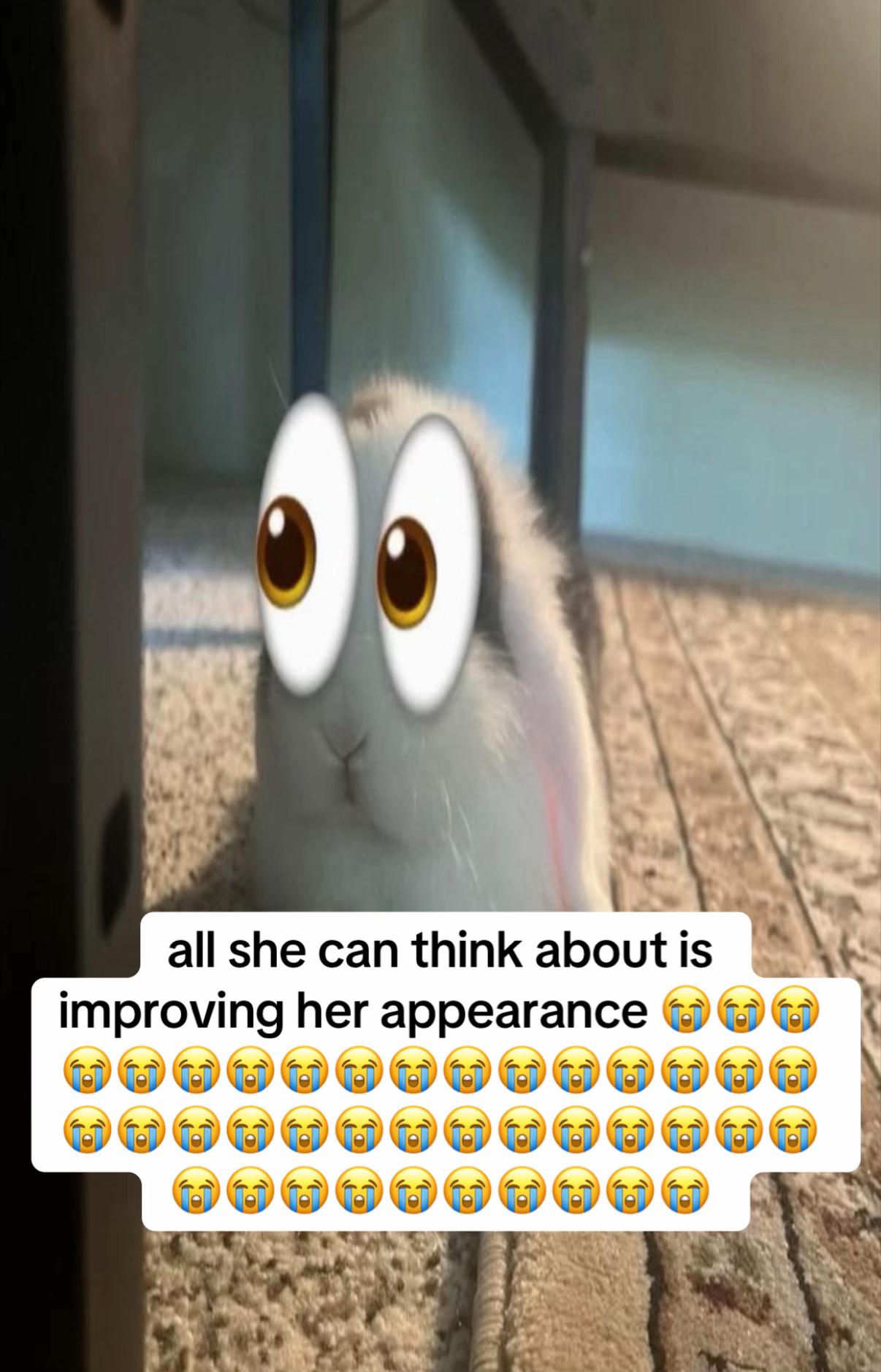 @r🪽