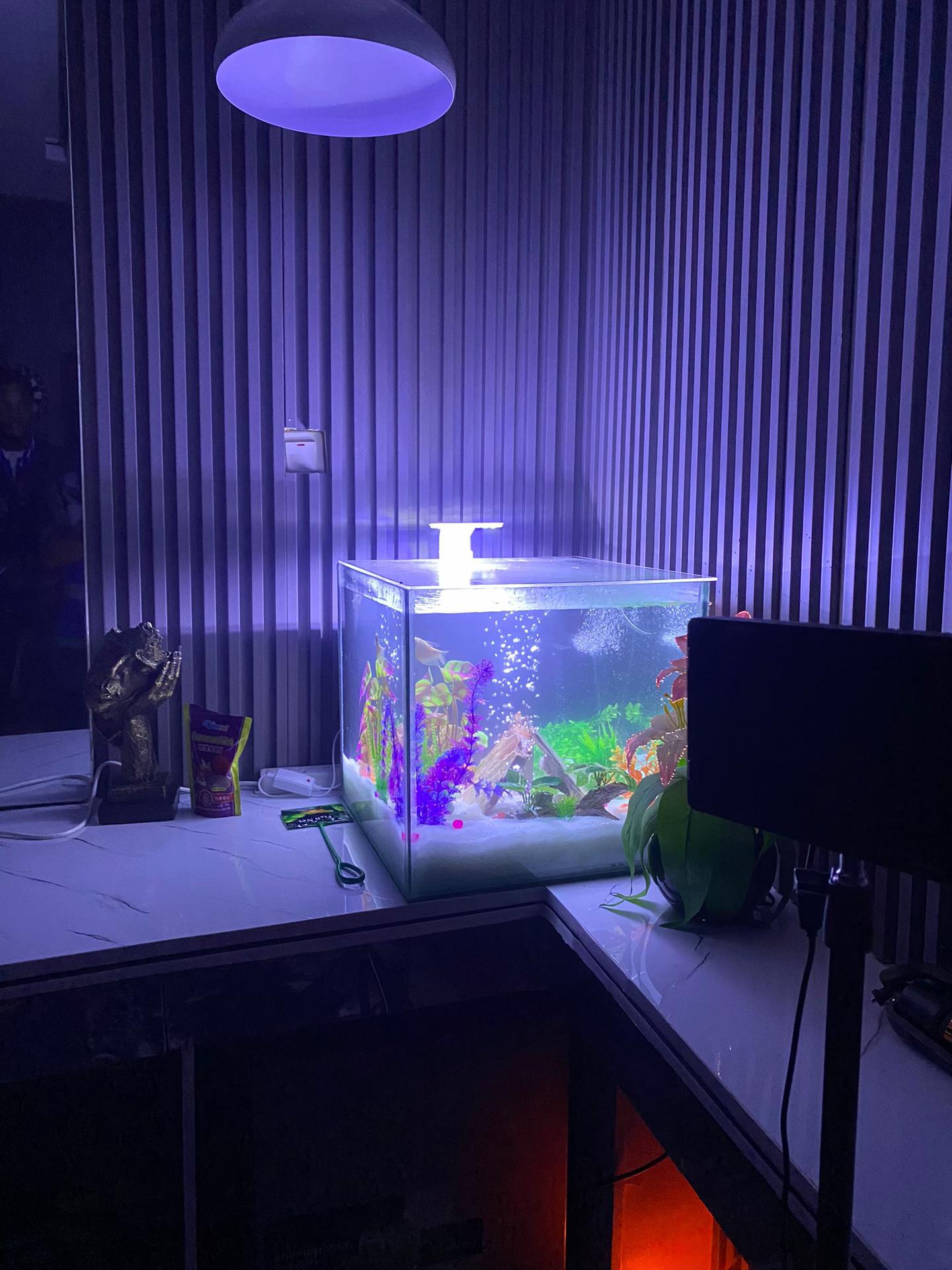 @fishtanks4u_