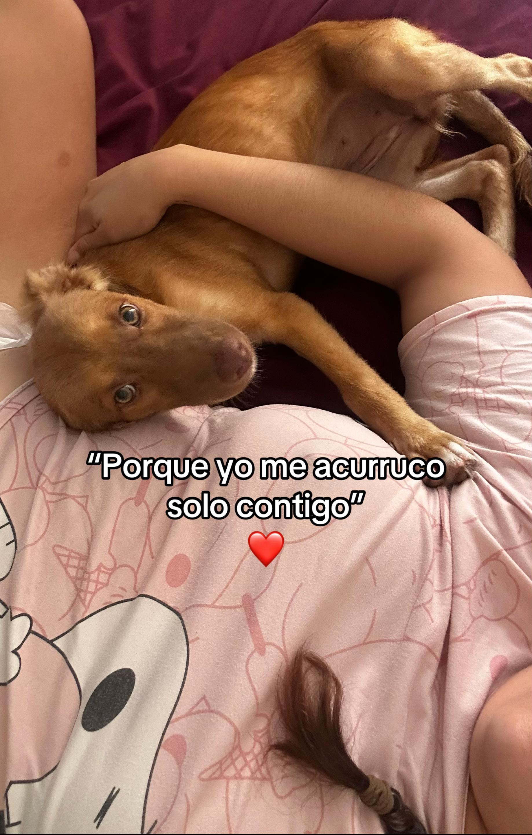 @Paulet Luna