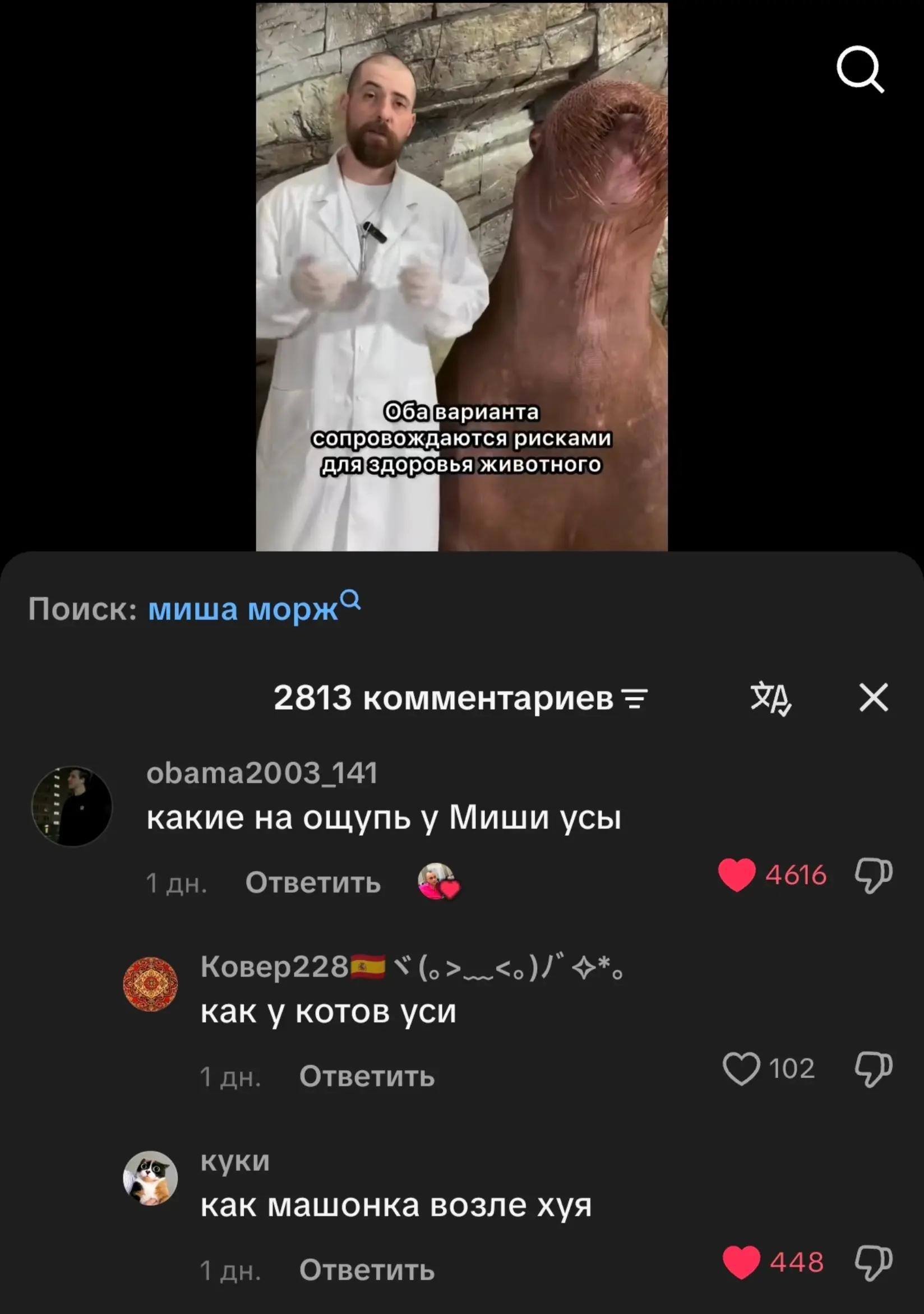 @s0f1f