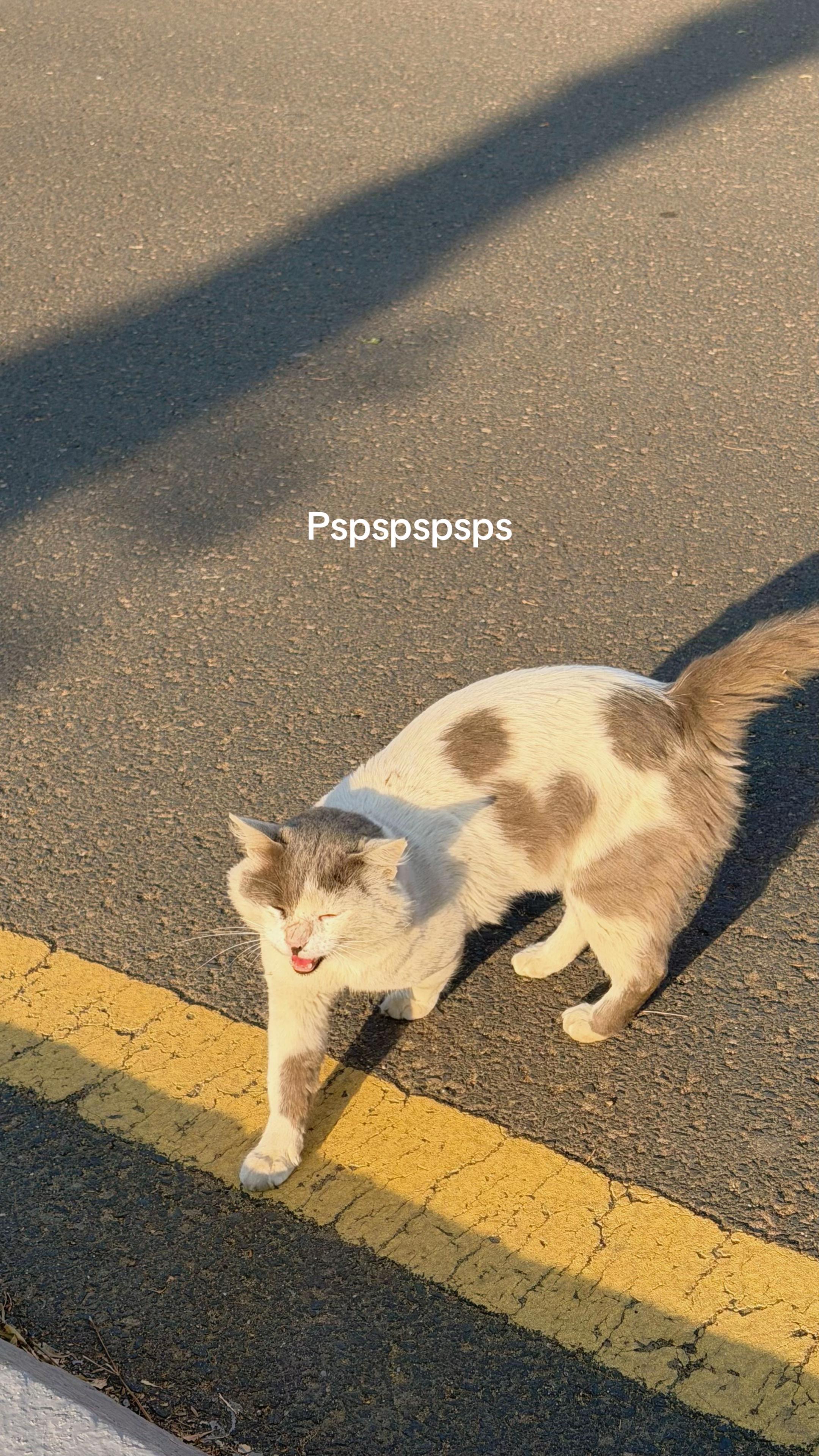 @س س س س