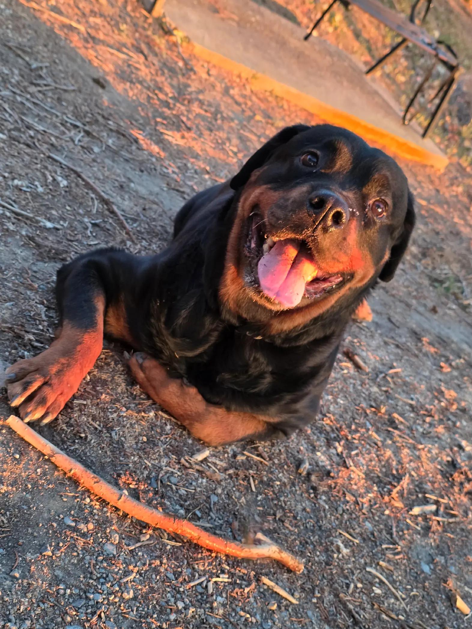 @❤️KyRa❤️RoTTie