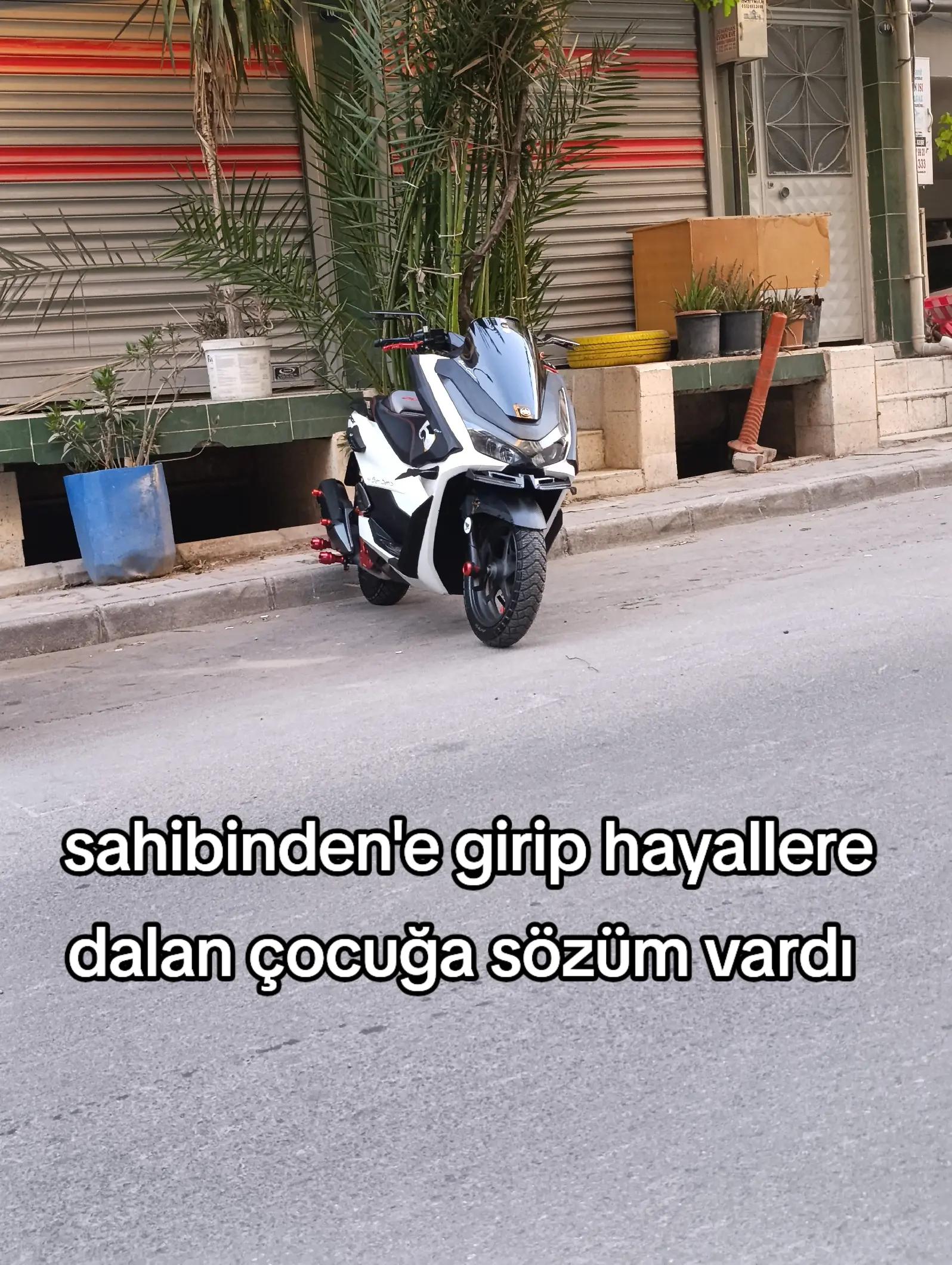 @İlayda Adnan Canavar