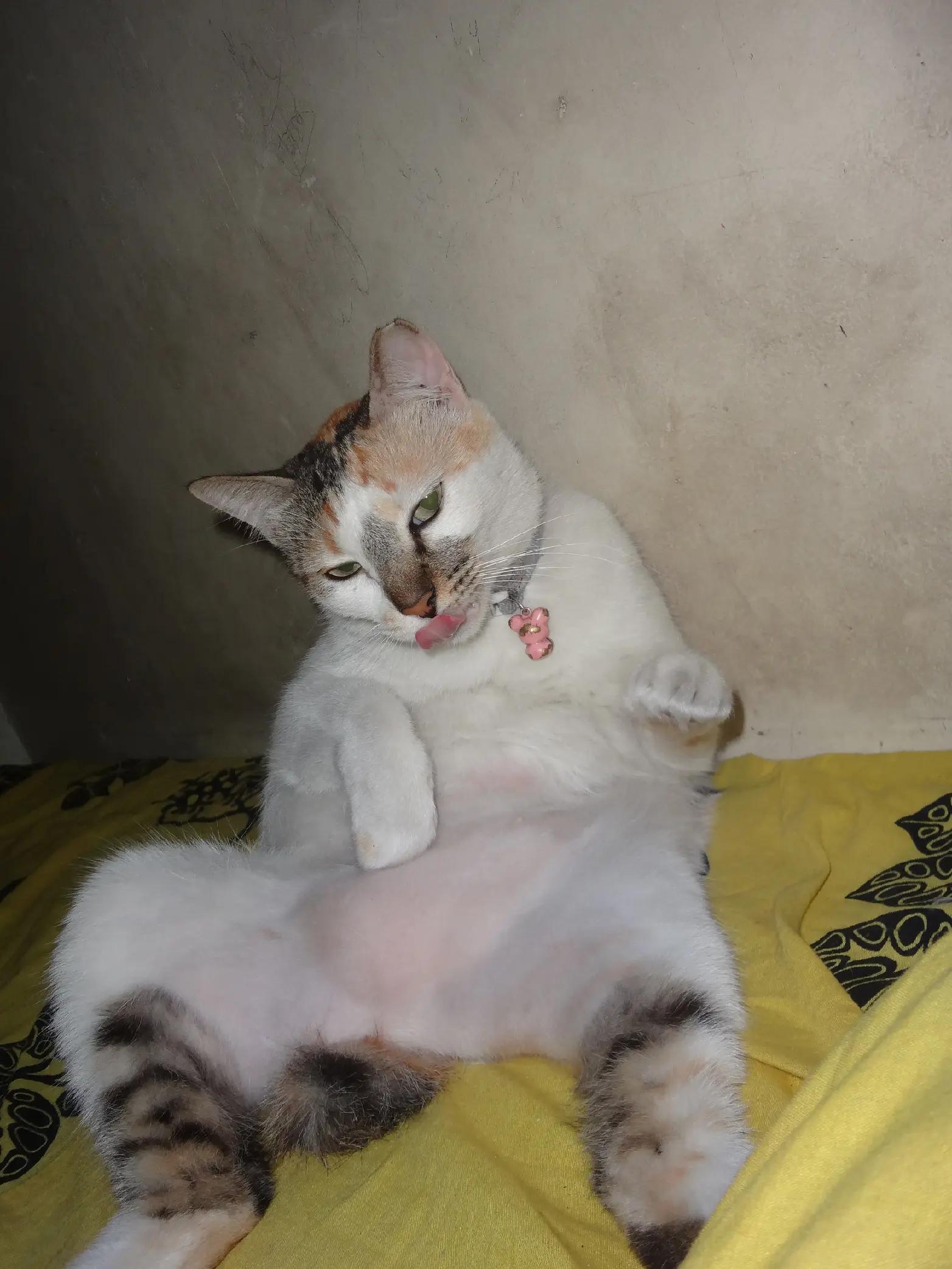 @Mie_ayam