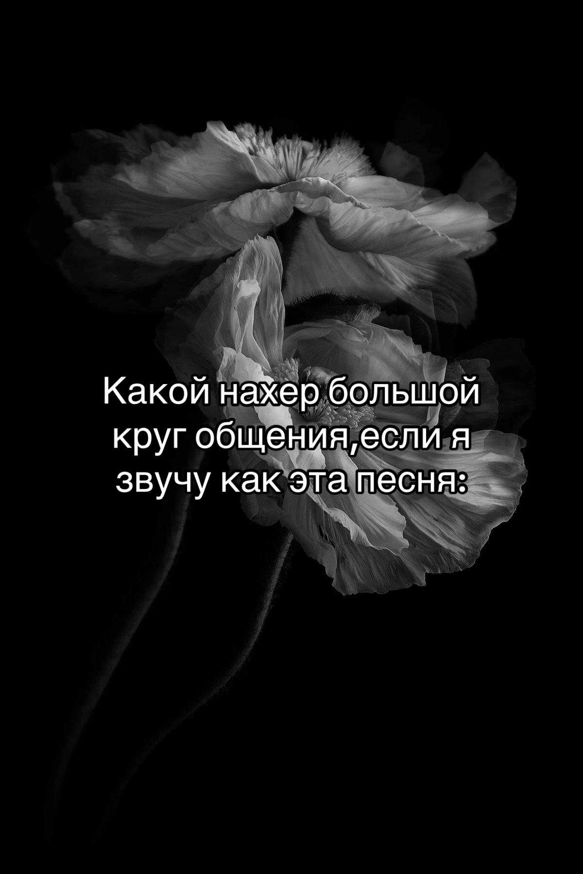 @🖤🖤🖤