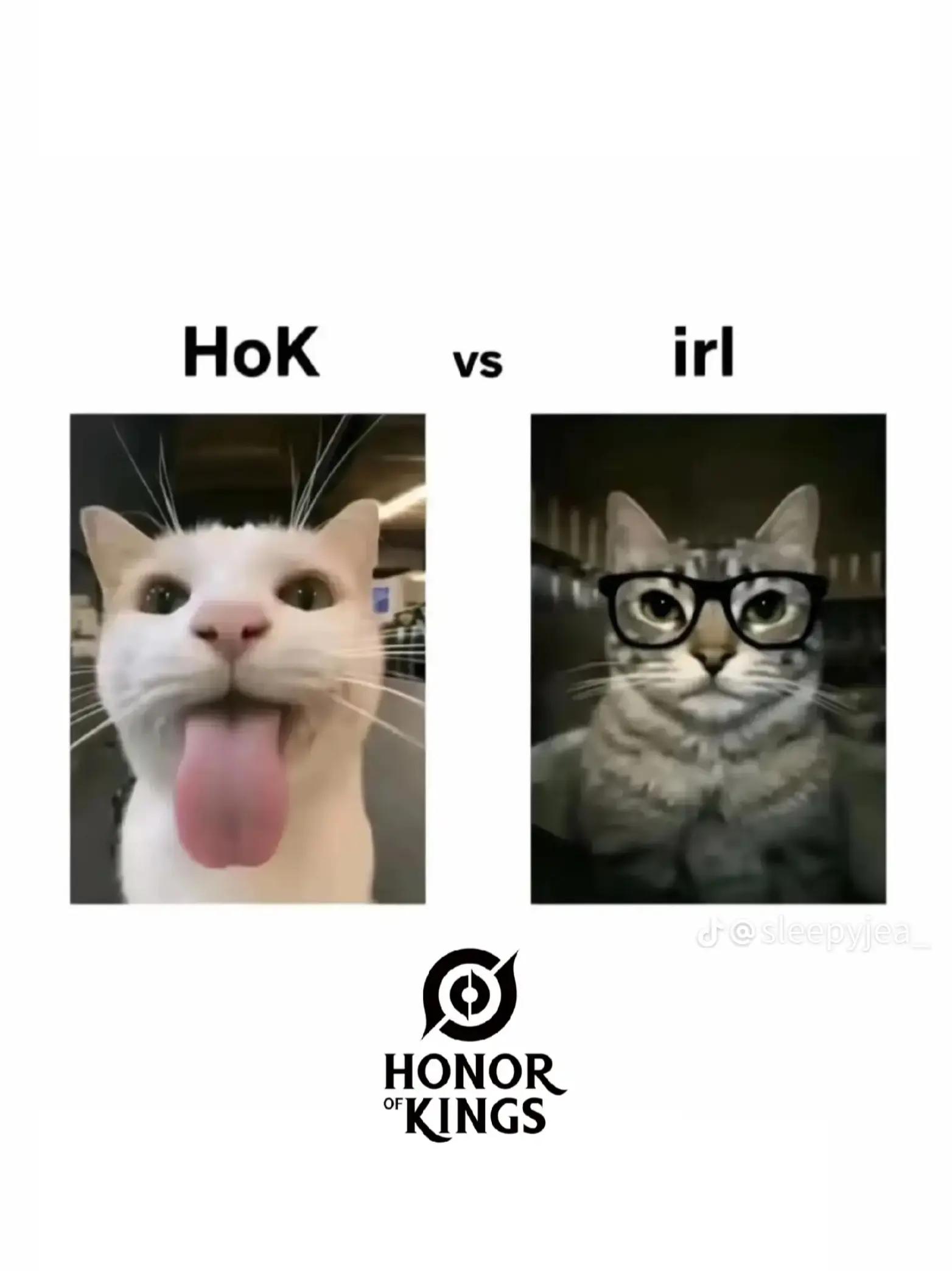 @#1 flowborn's hater