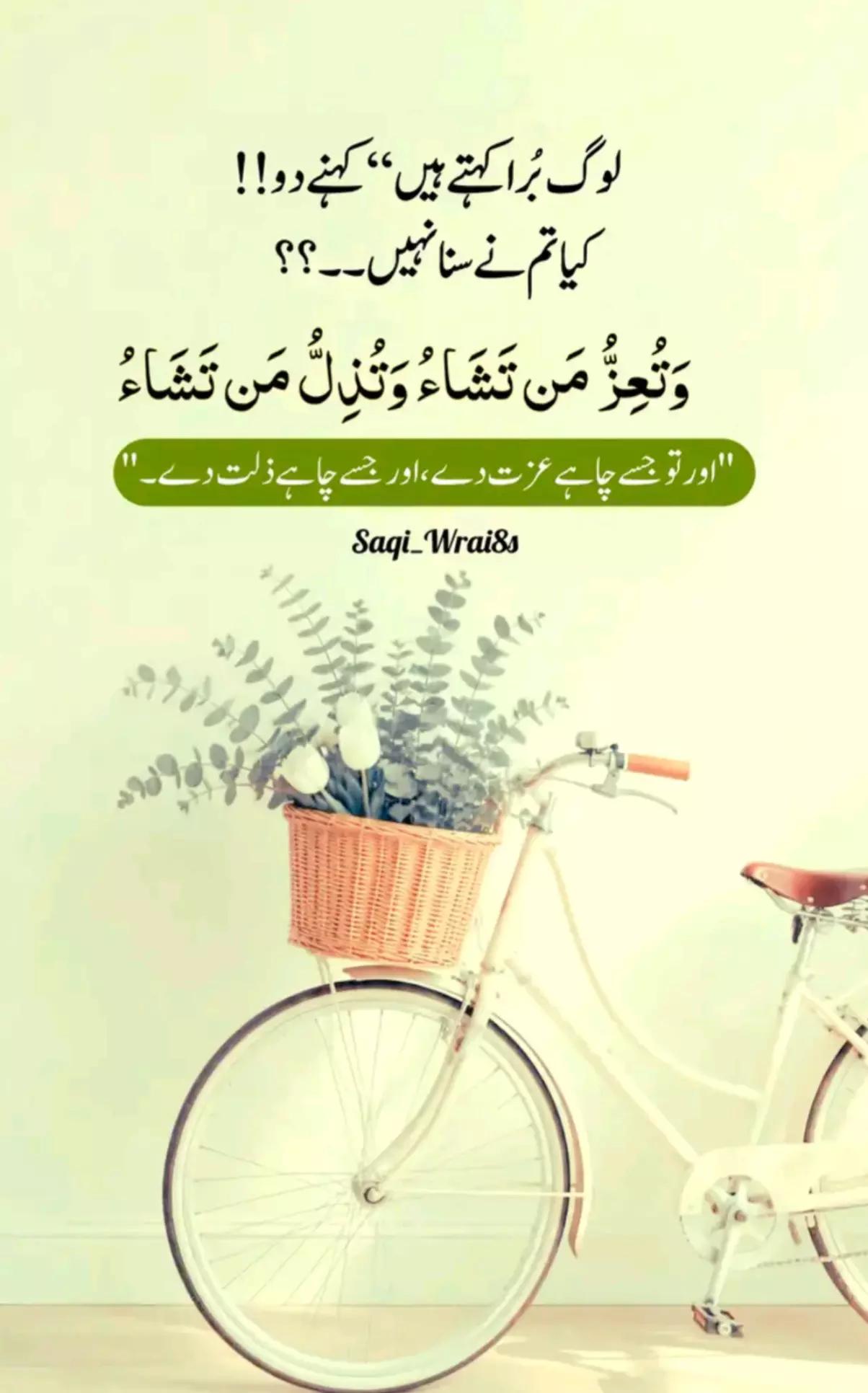 @NomanSheikh157