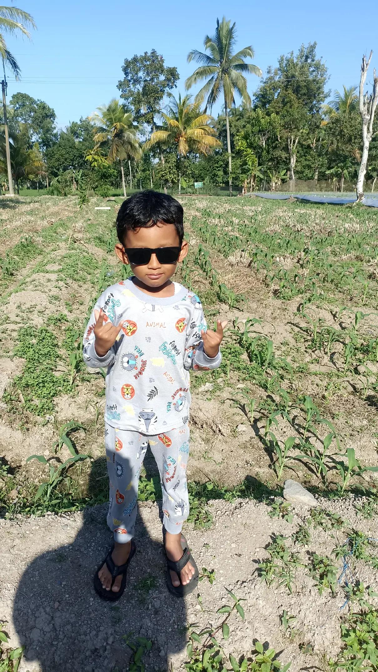 @JP farm
