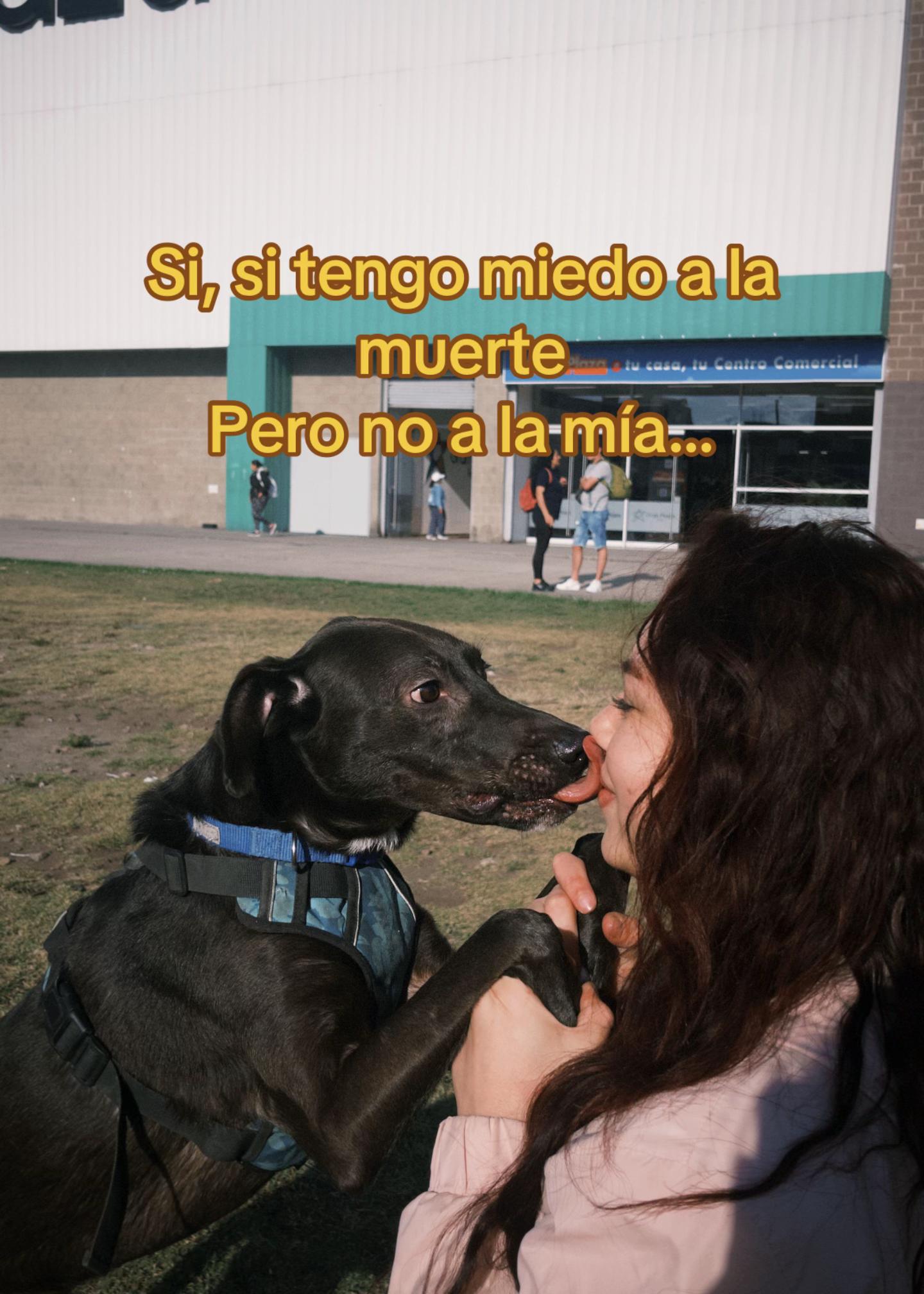 @Sara Medina ⚡️