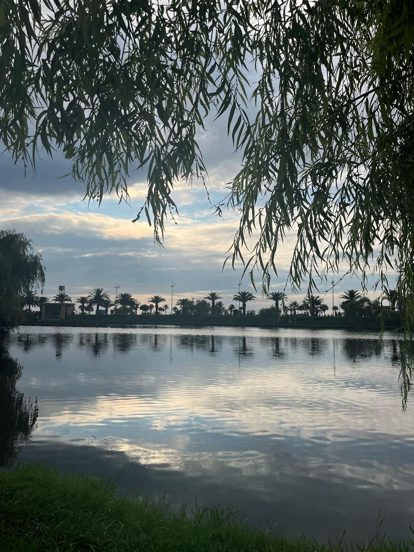 @eylusluk