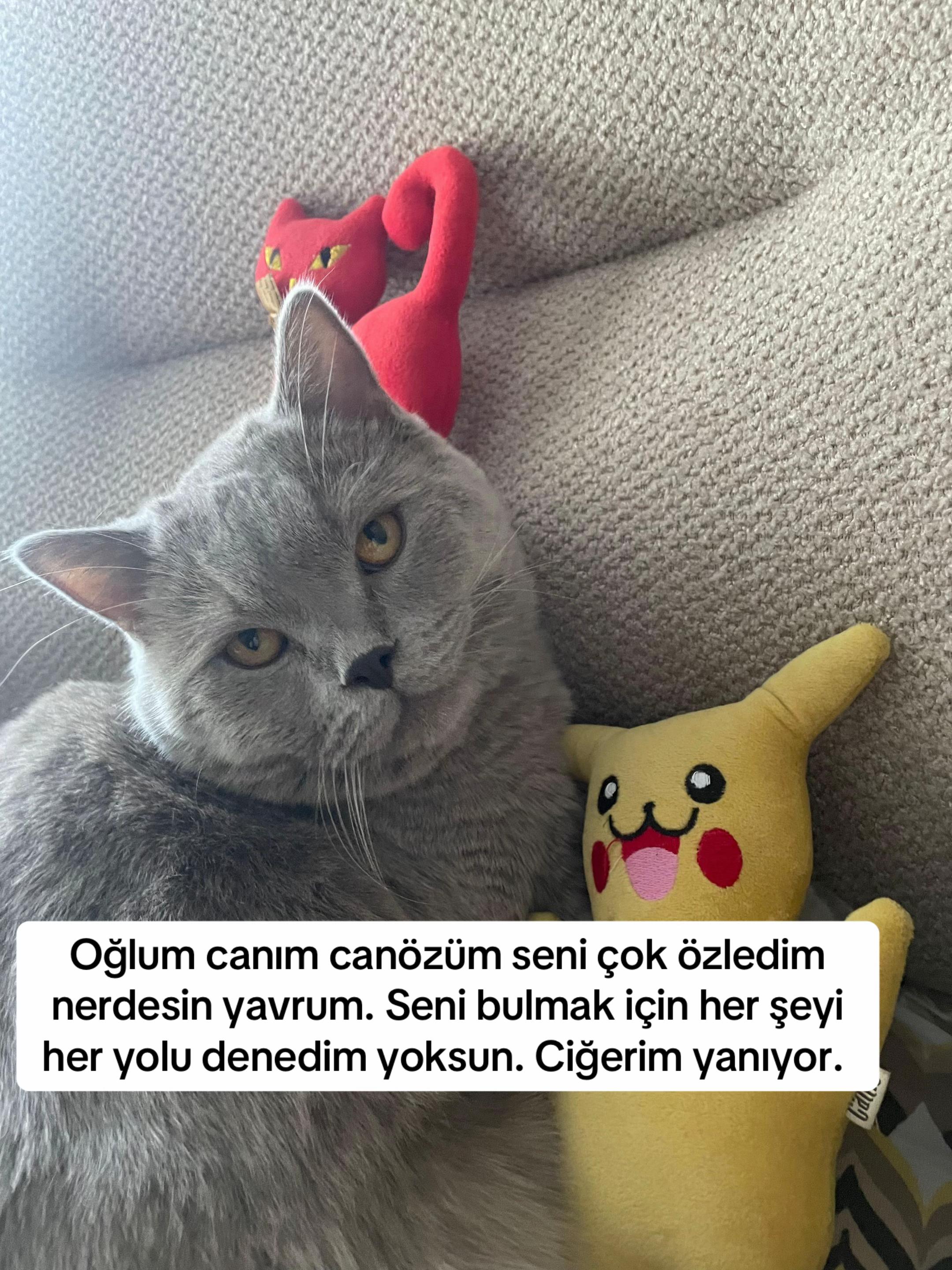 @BULUT KAYIP