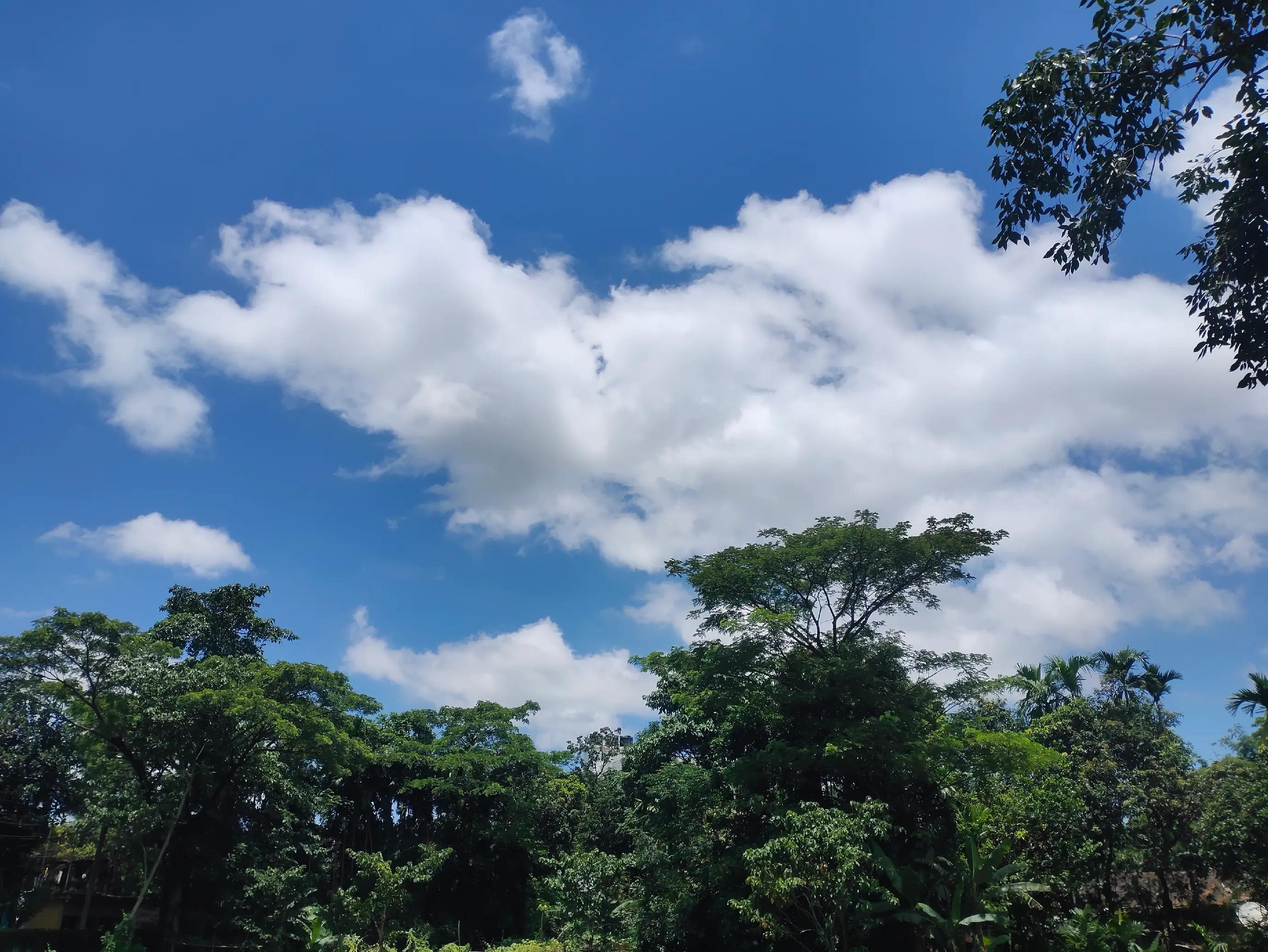@𝑴𝒓.𝑺𝒐𝒖𝒓𝒂𝒗🇧🇩