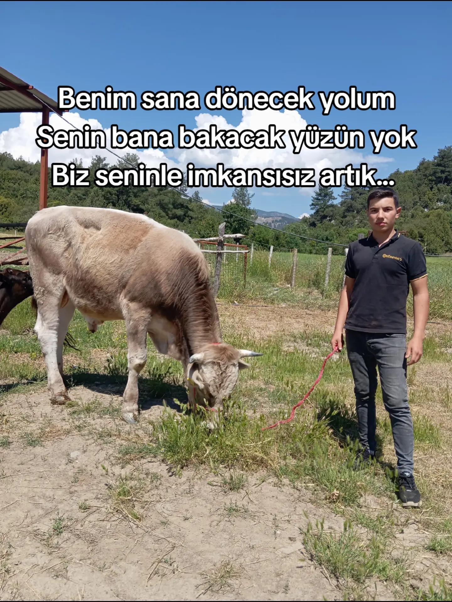 @Acıpayam'lı