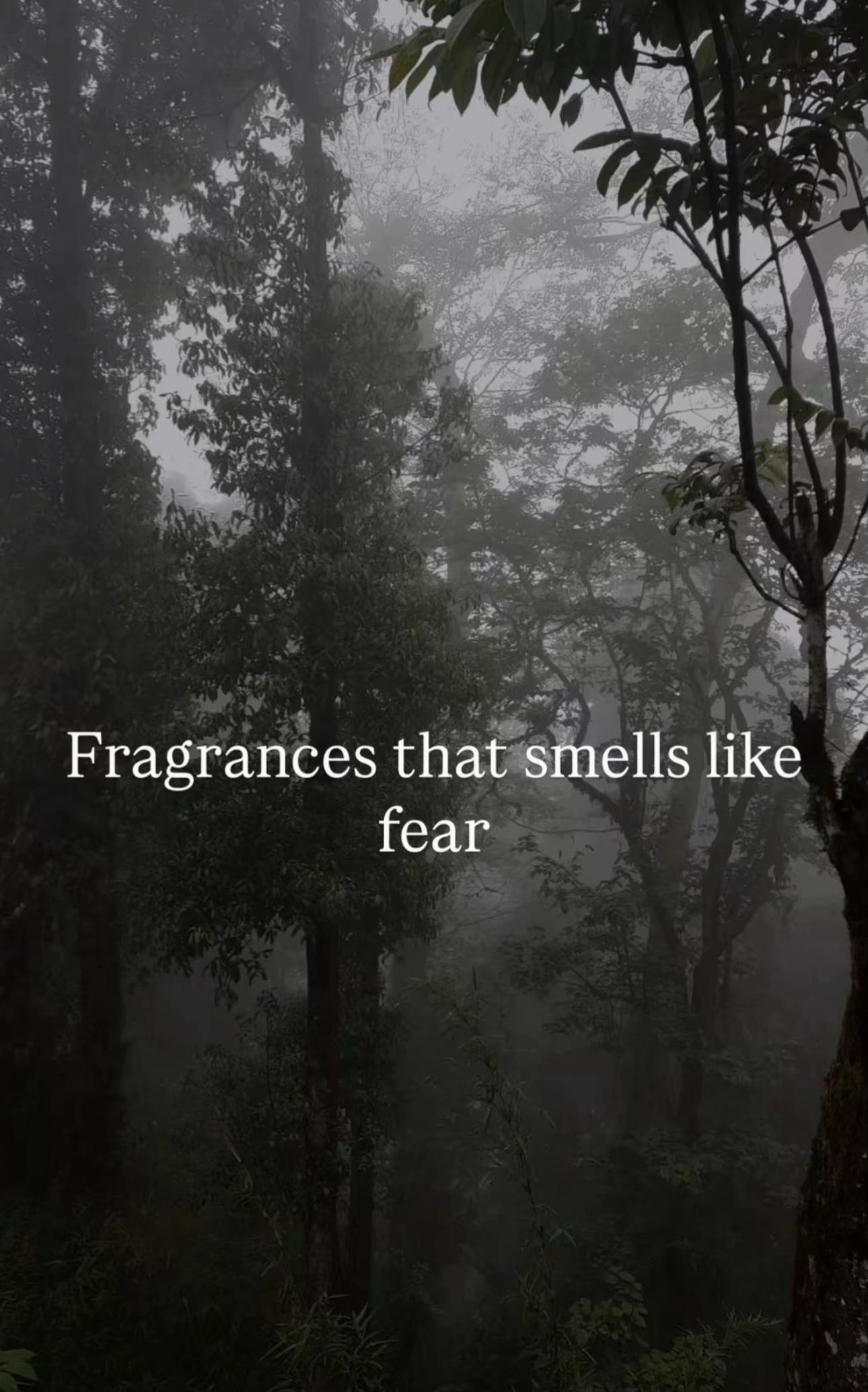 @CRAZY FRAGRANCE
