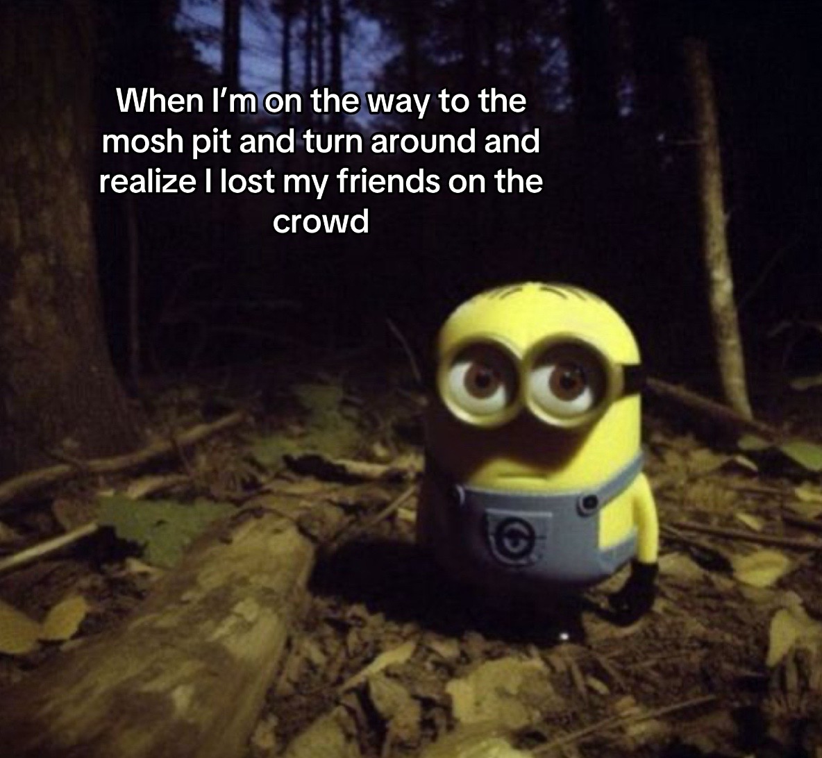 @angelwithsilverfangs