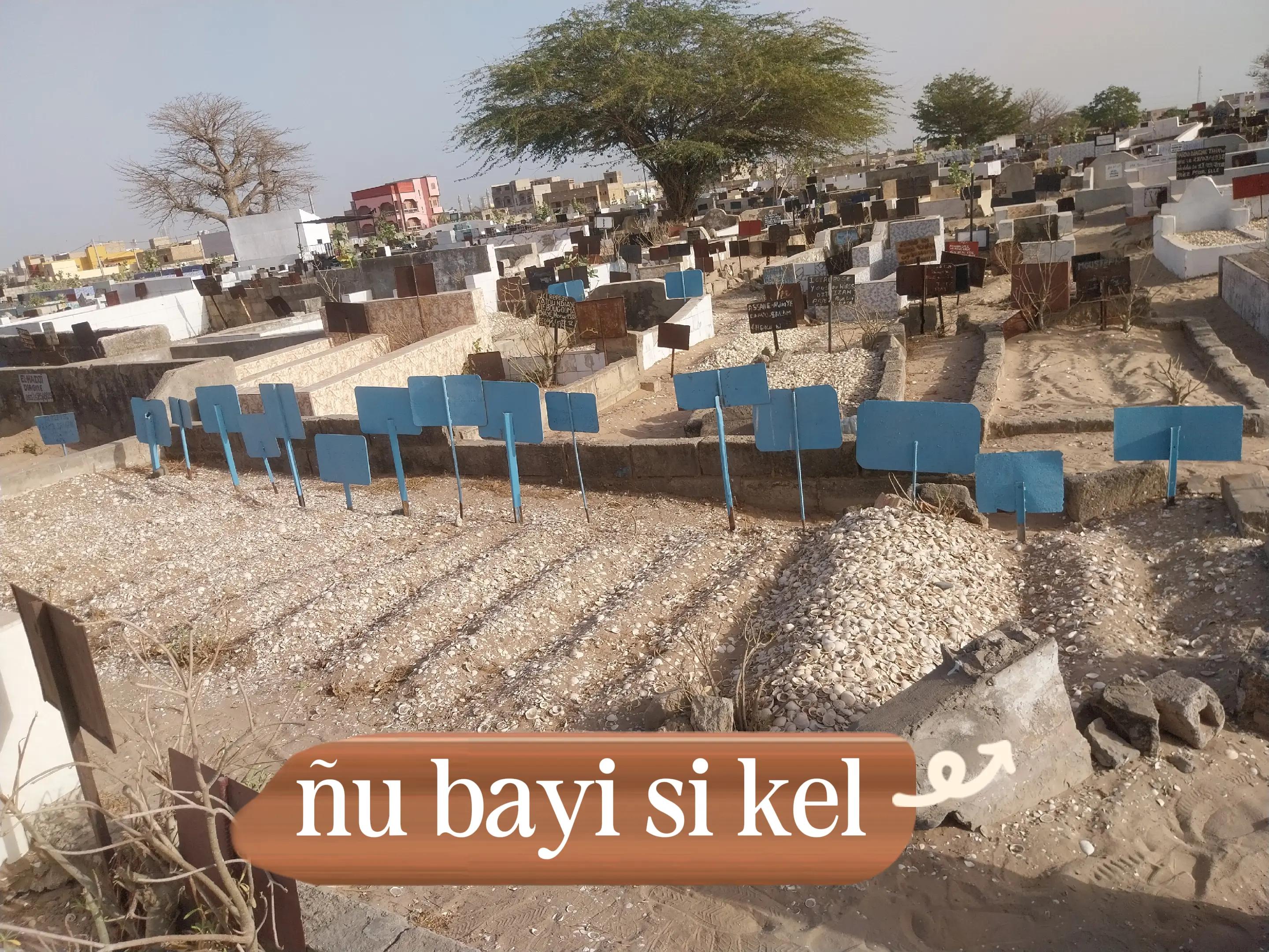 @talibe...cheike..221