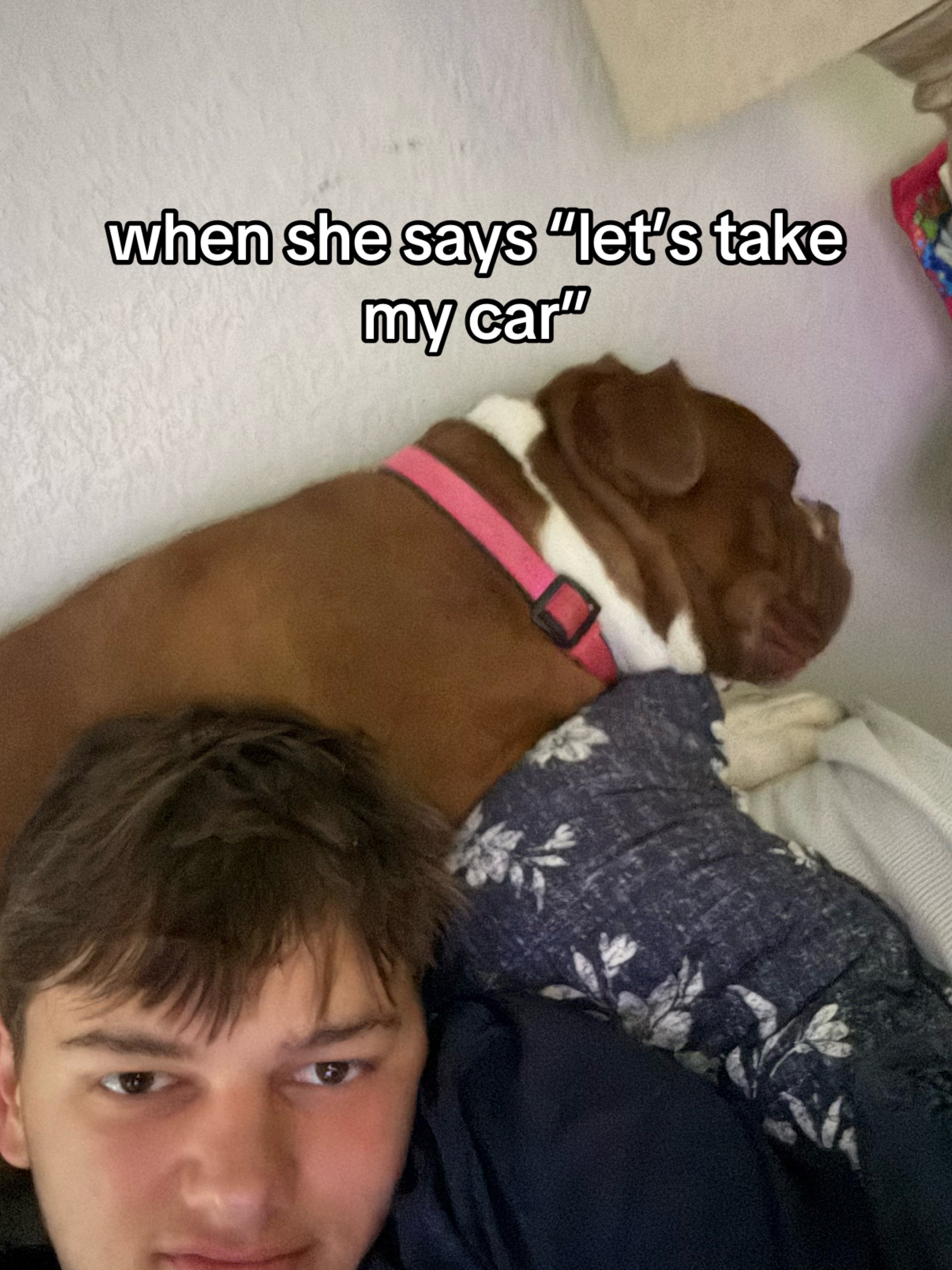@lt1_dyl