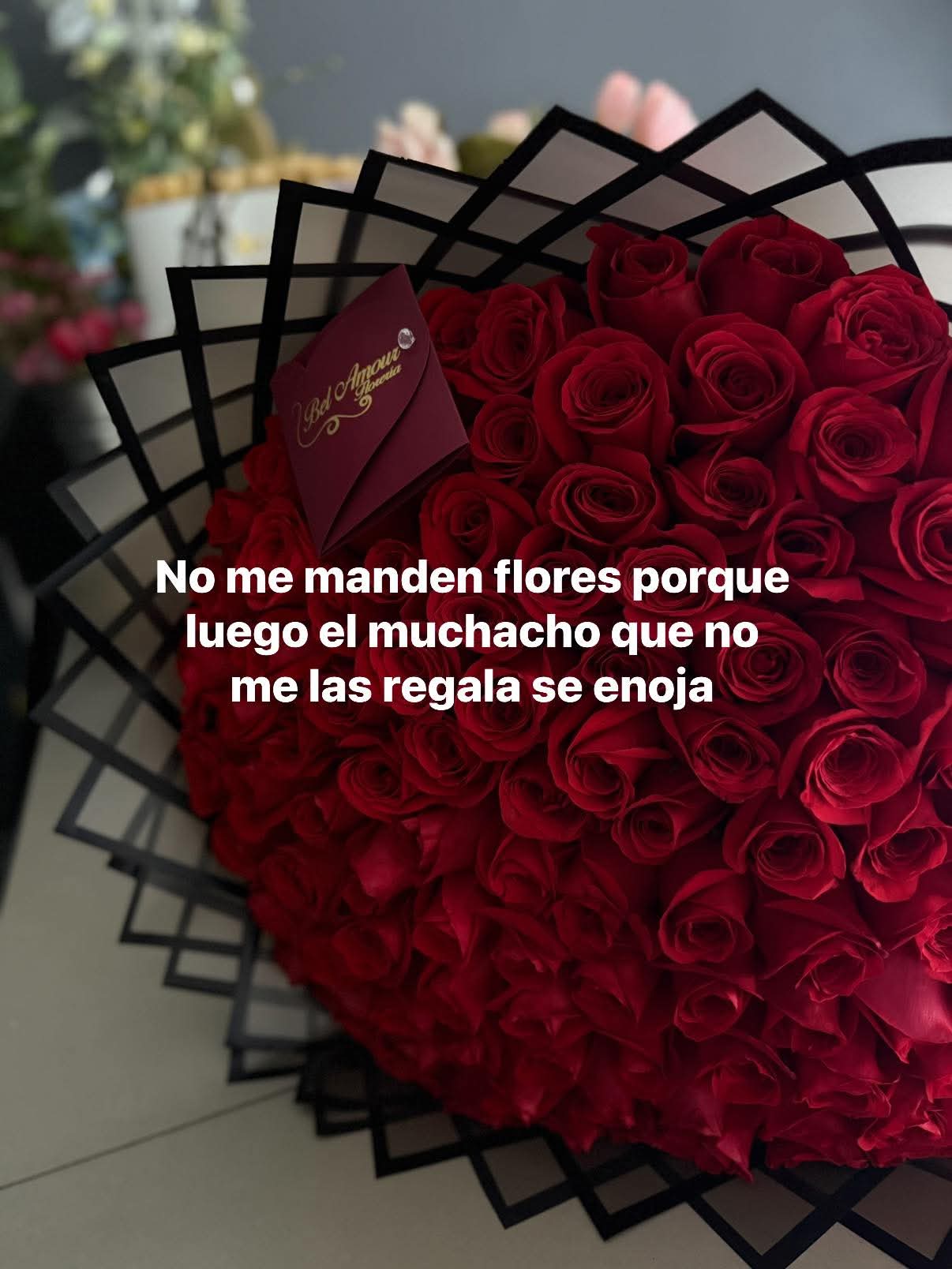 @Celene Fernandez