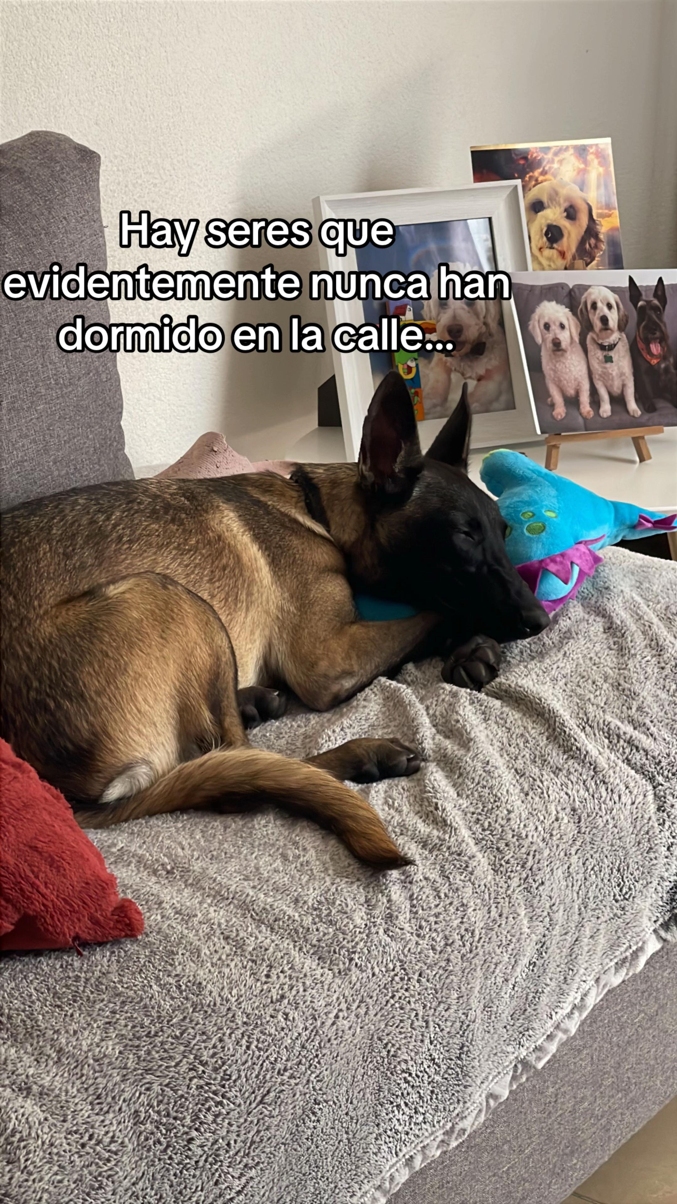 @Adriana Ch&aacute;vez
