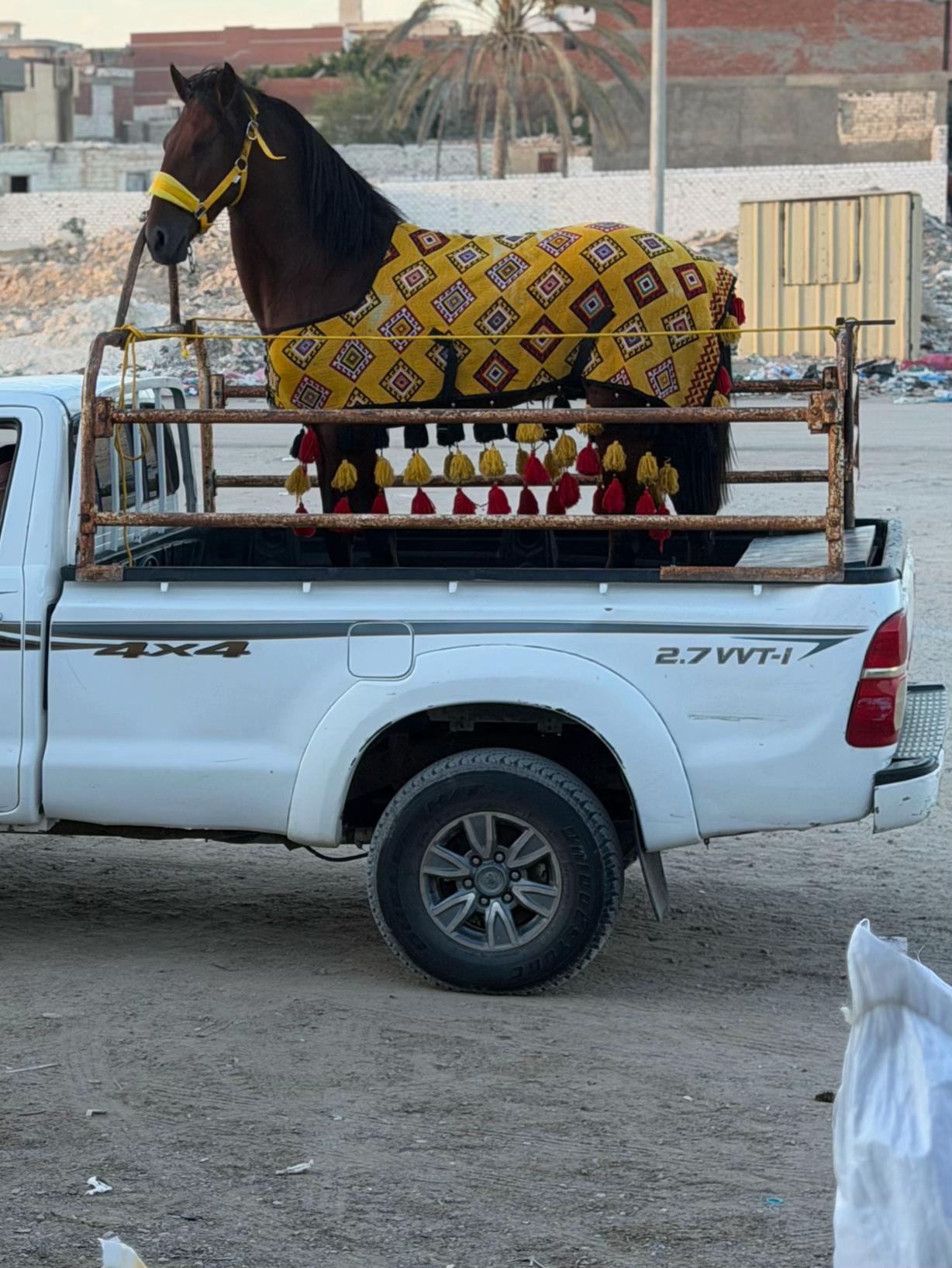 @عرفات عبدالناصر ال عقاري💸👌