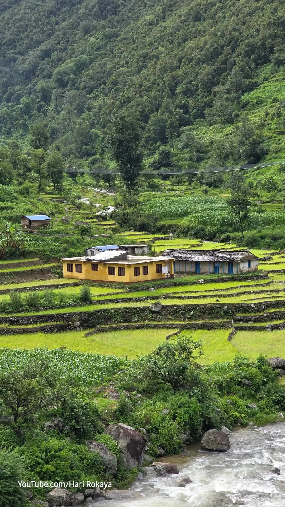 @🇳🇵नेपाली गाउँ बस्ती🌹