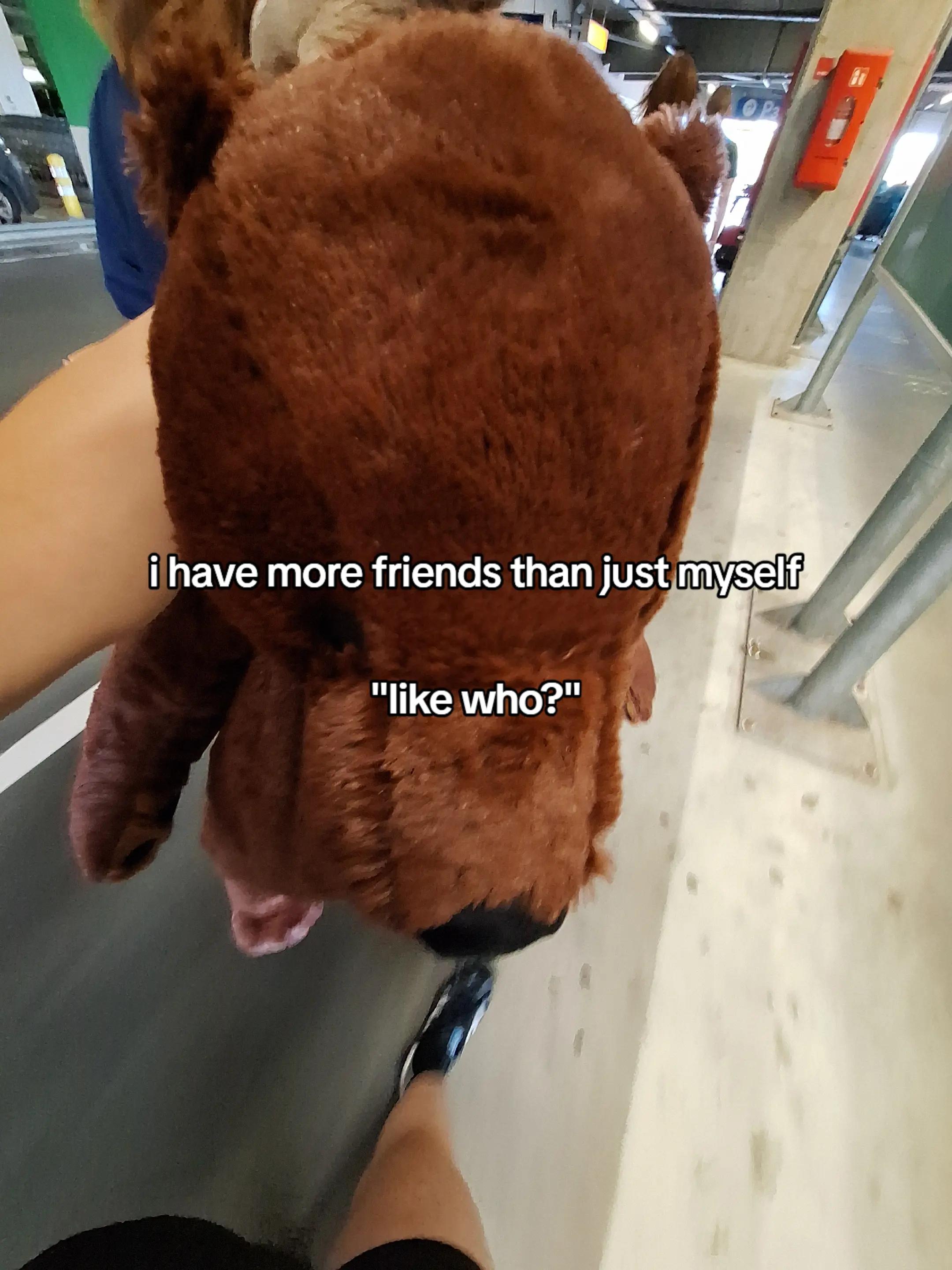 @vinn