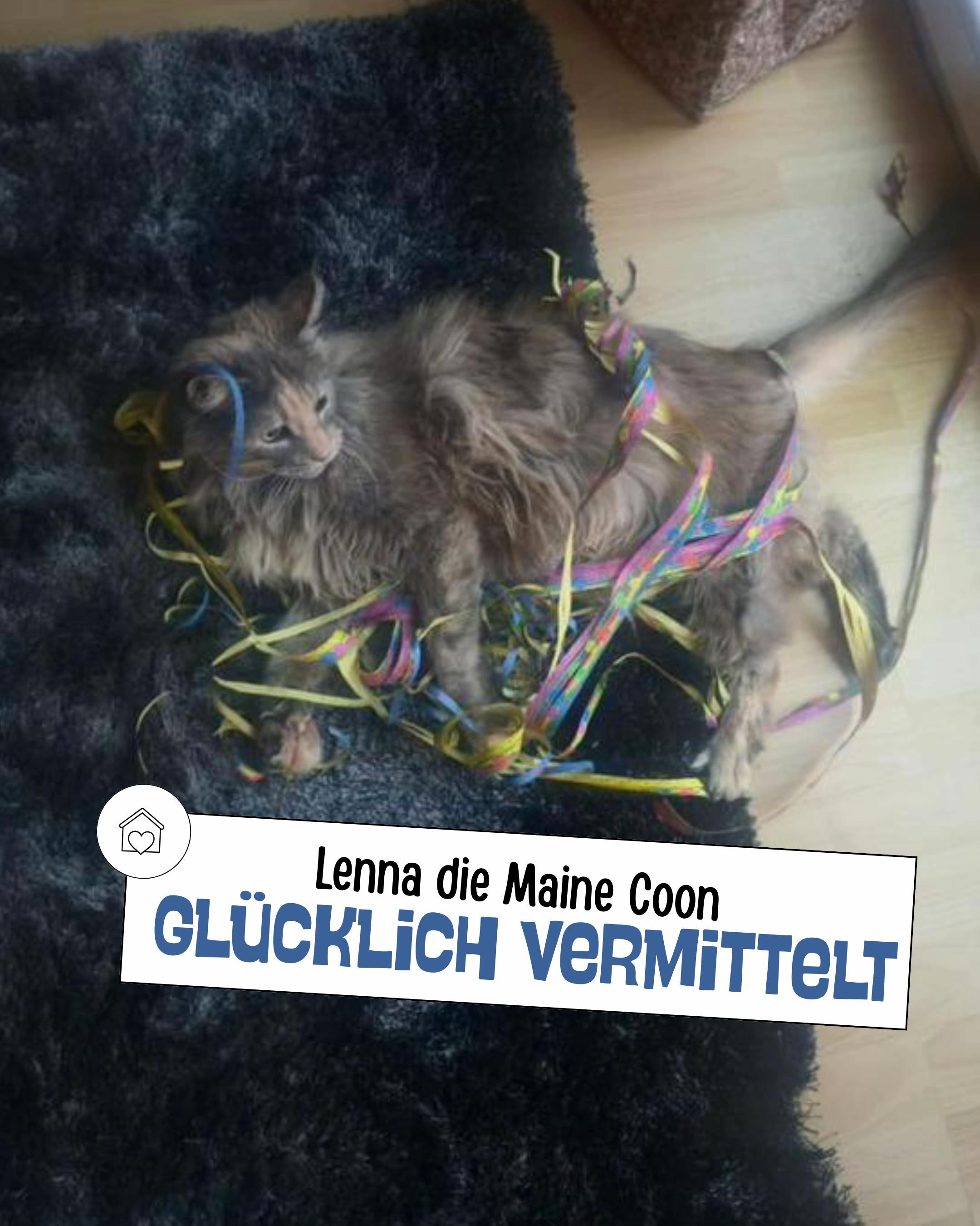 @Tierheim_Bremerhaven