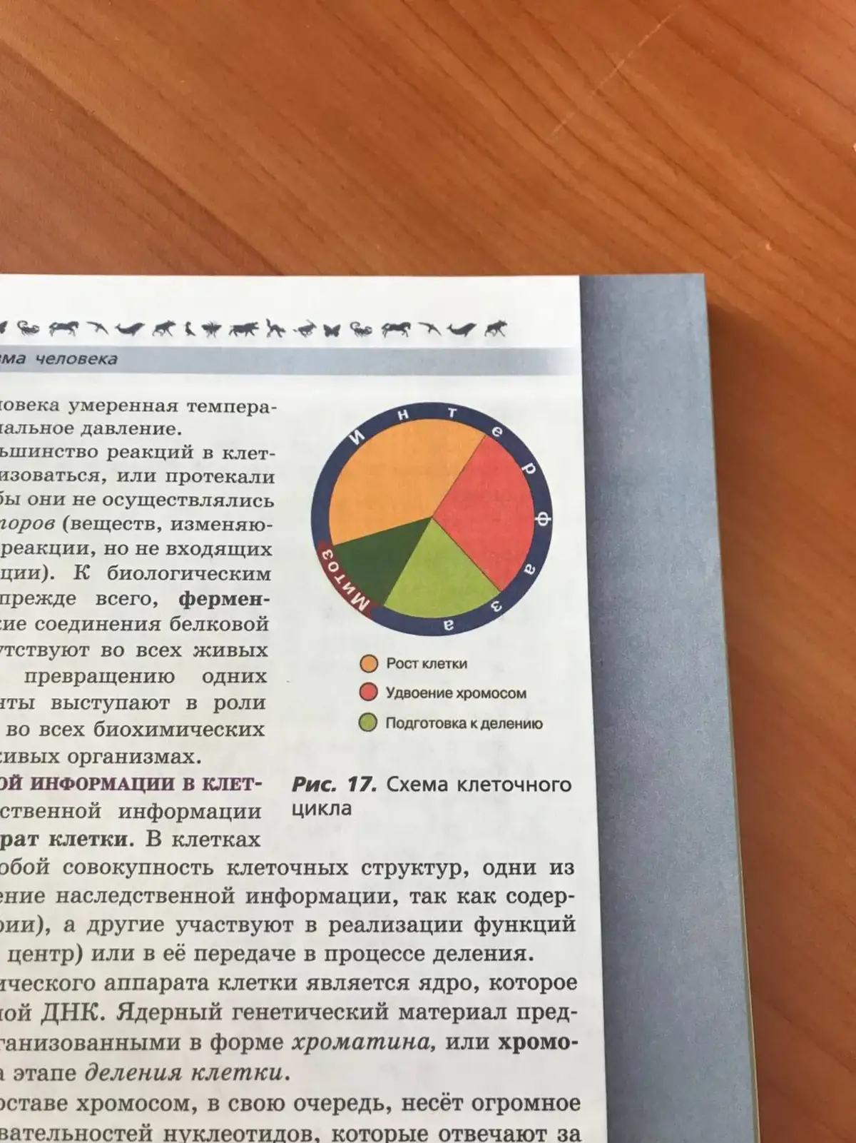 @Доктор Врач &bull; друзья