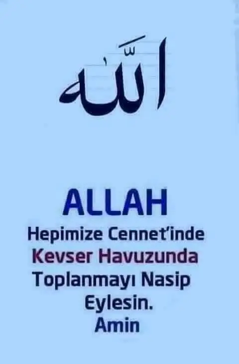 @şeenol Albayrak