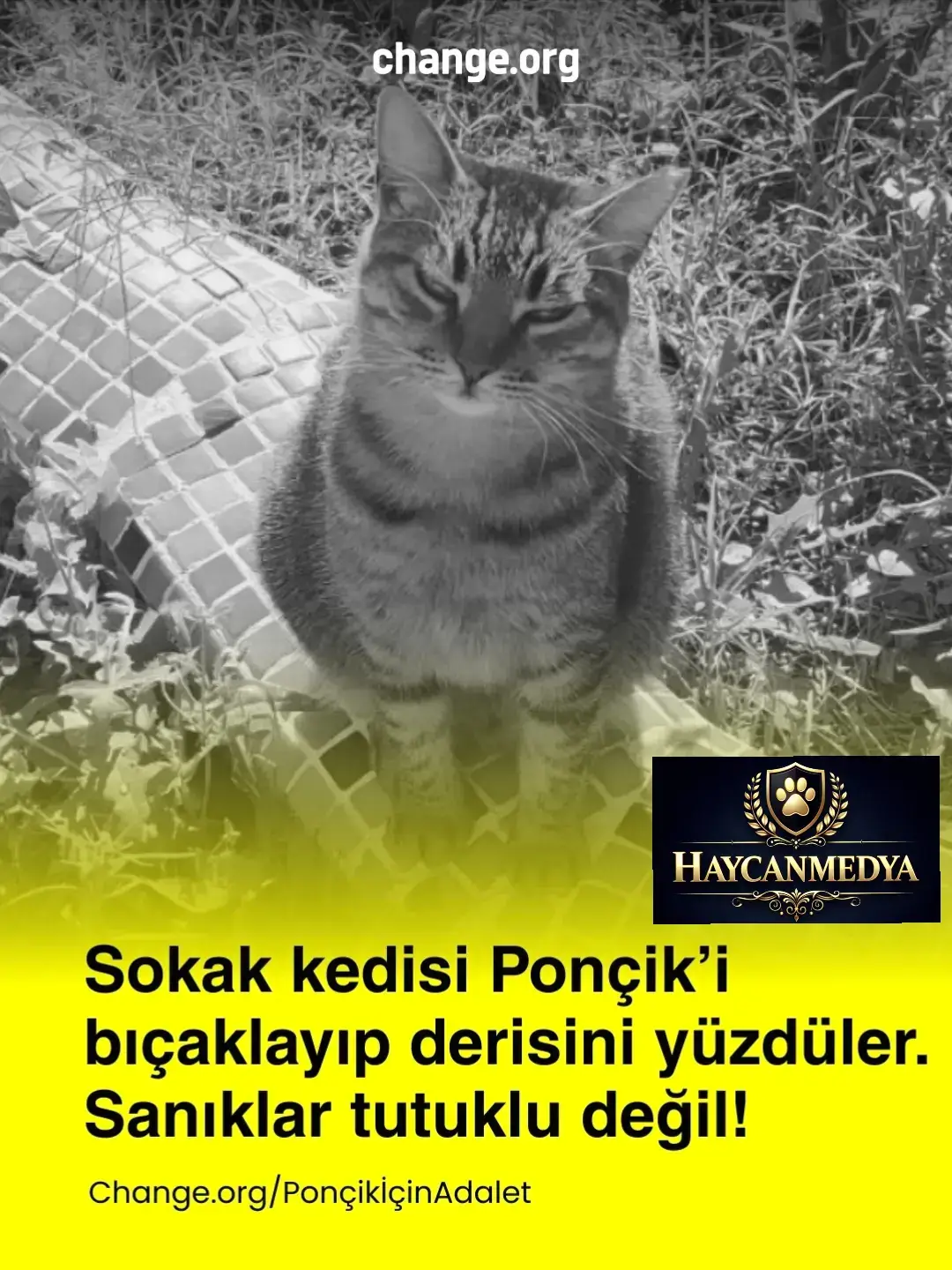 @HAYCAN MEDYA 🌐✔️