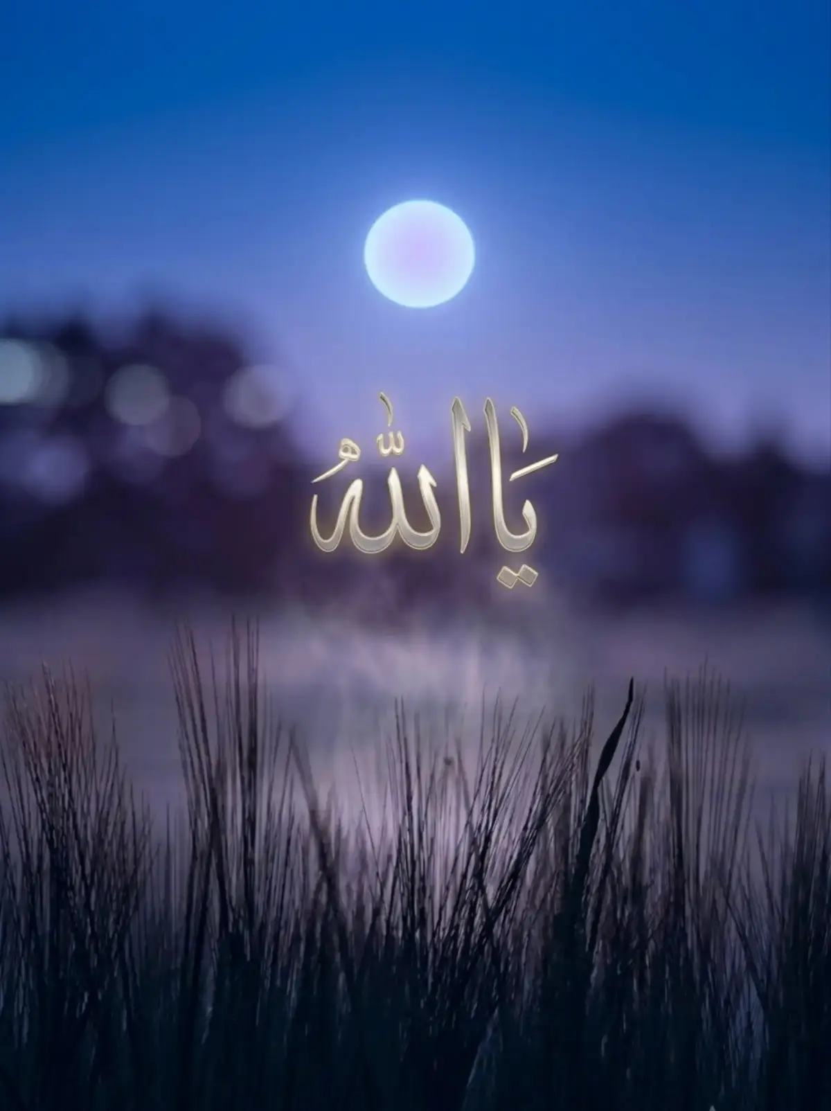 @فاطمہ 👸🏻