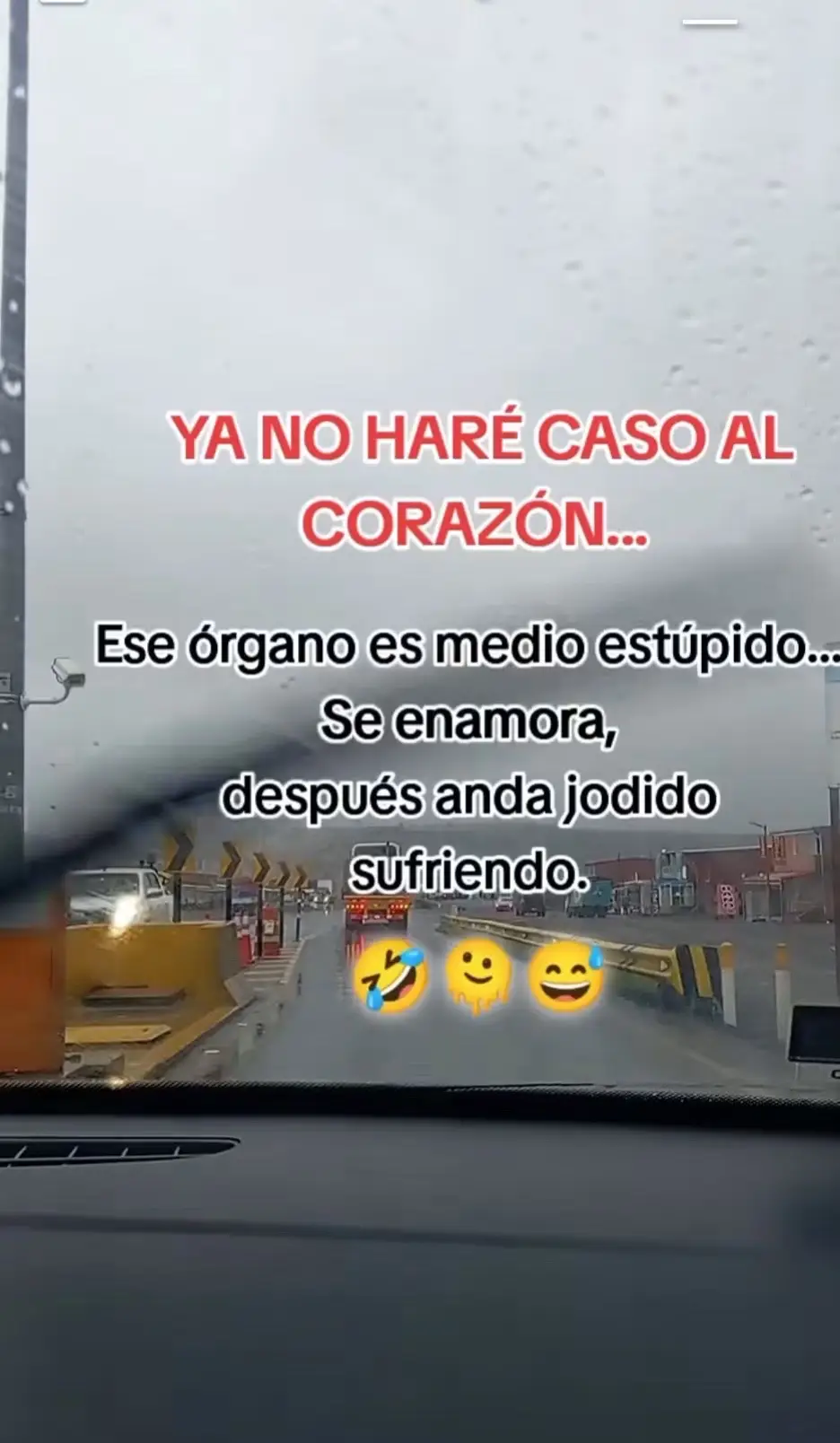 @Alma Baez295