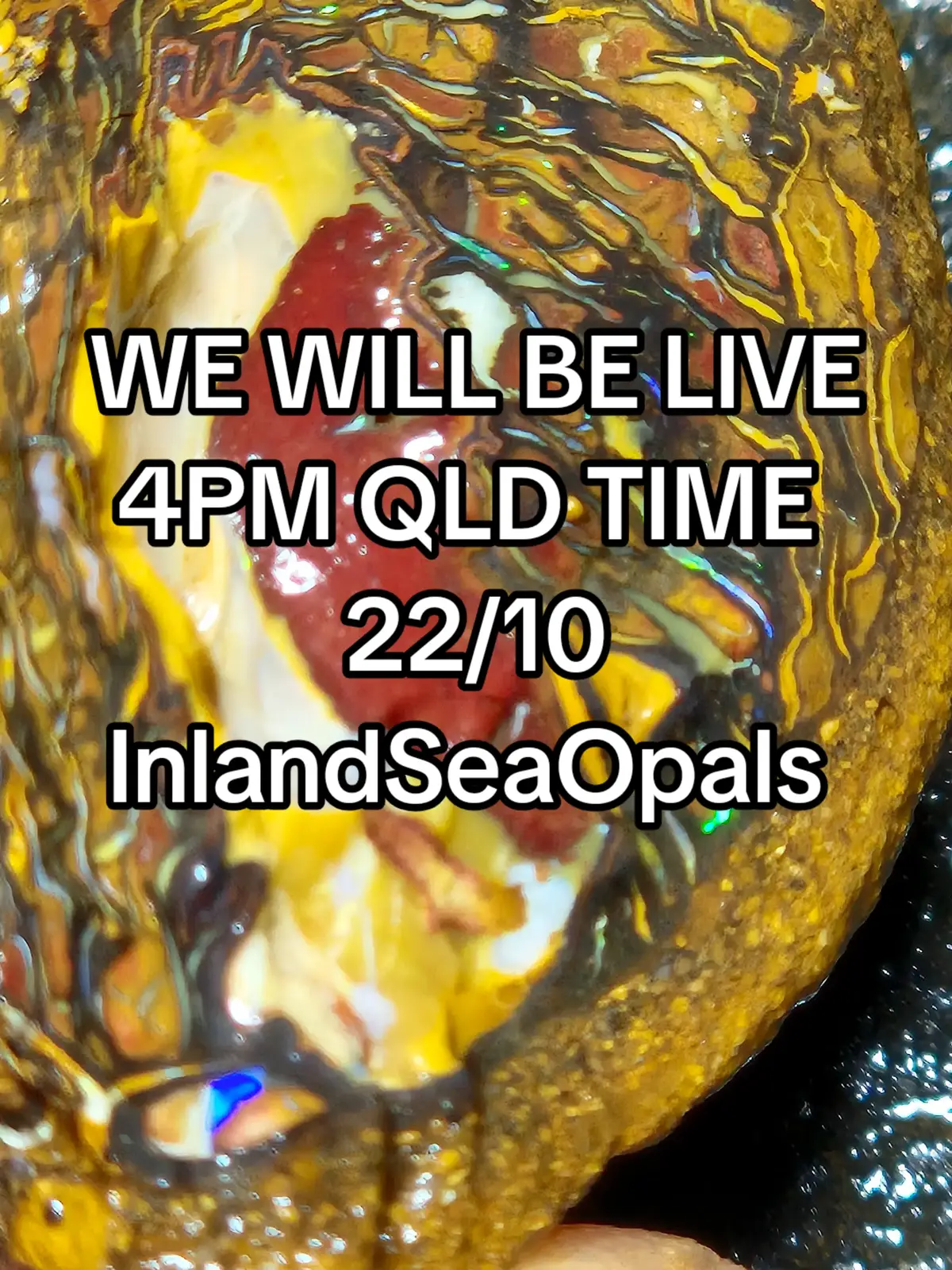 @InlandSeaOpals