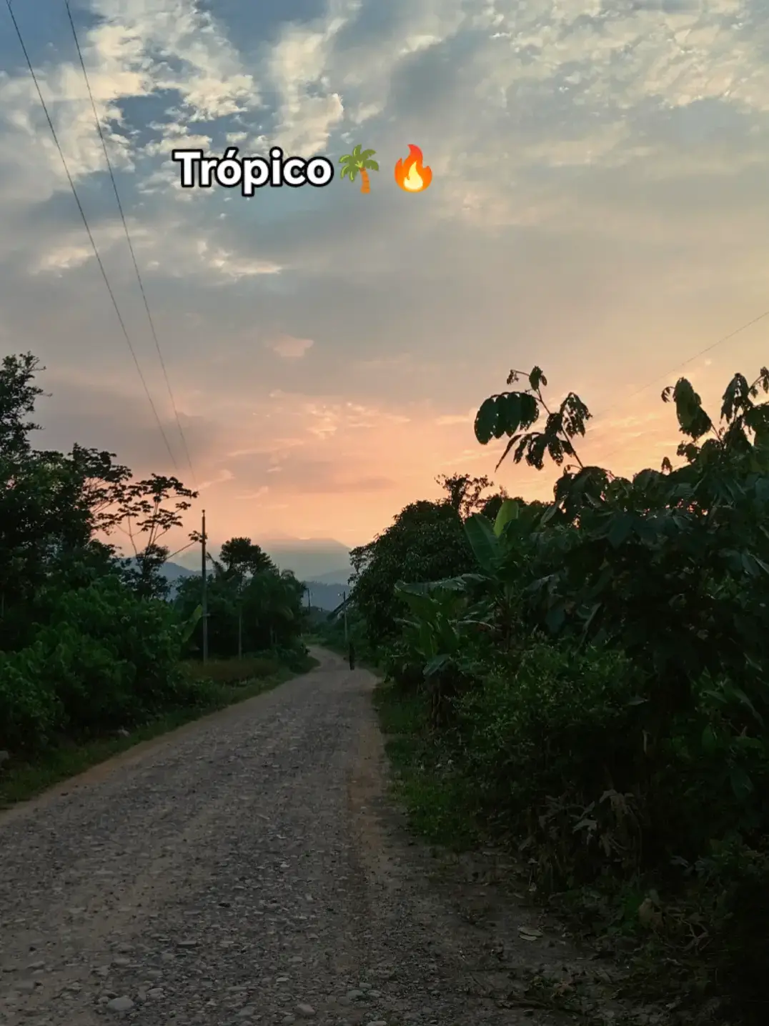 @shinahoteñita🍒🇧🇴