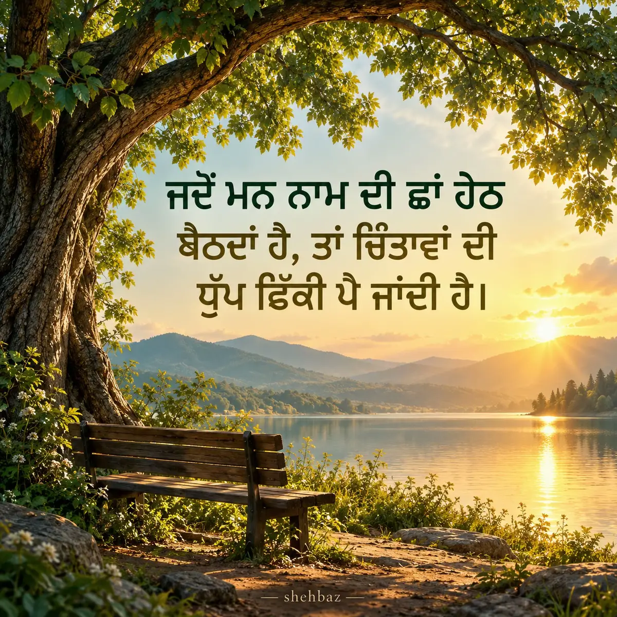 @Shehbaz🦅
