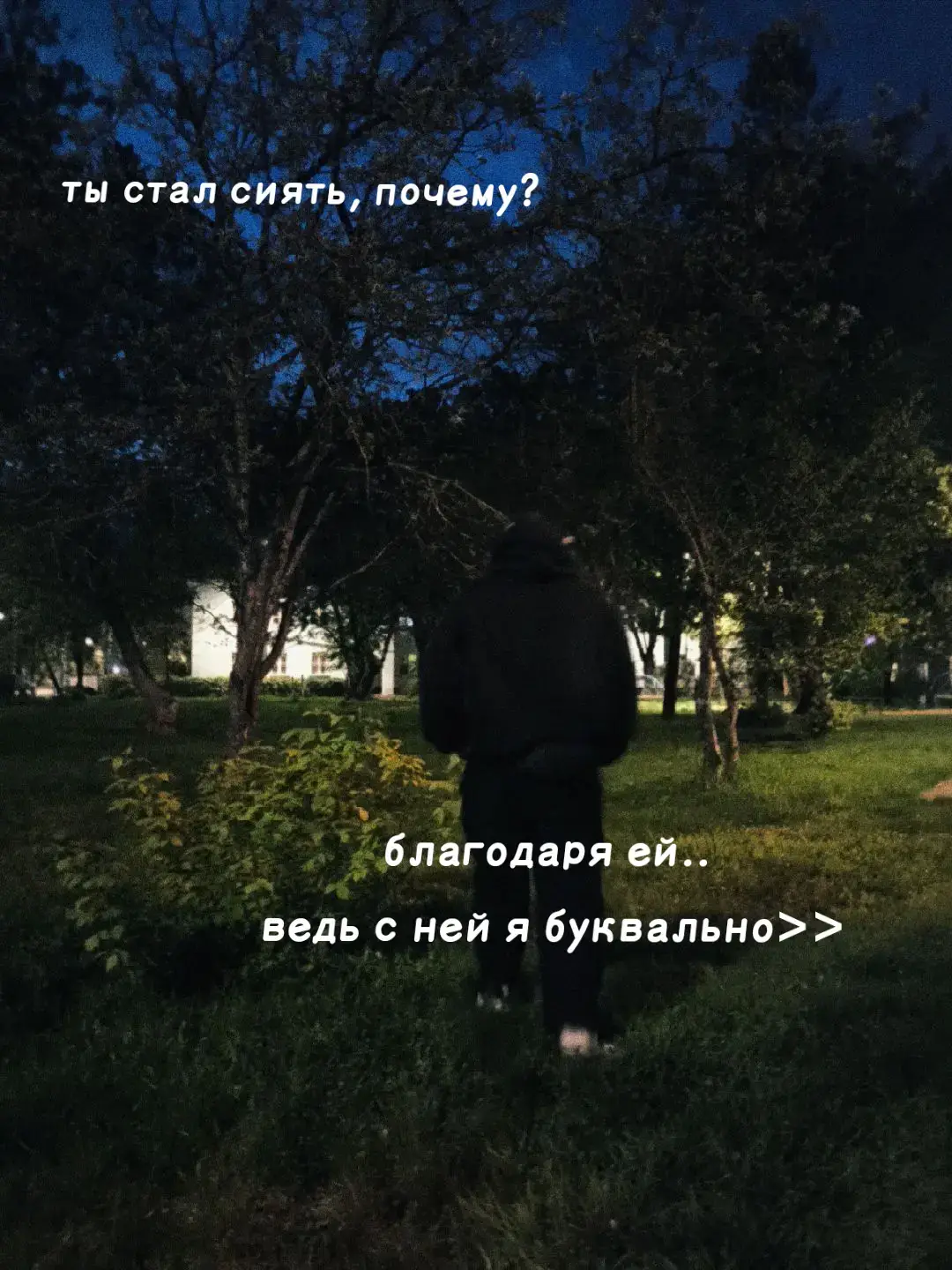 @FROZY