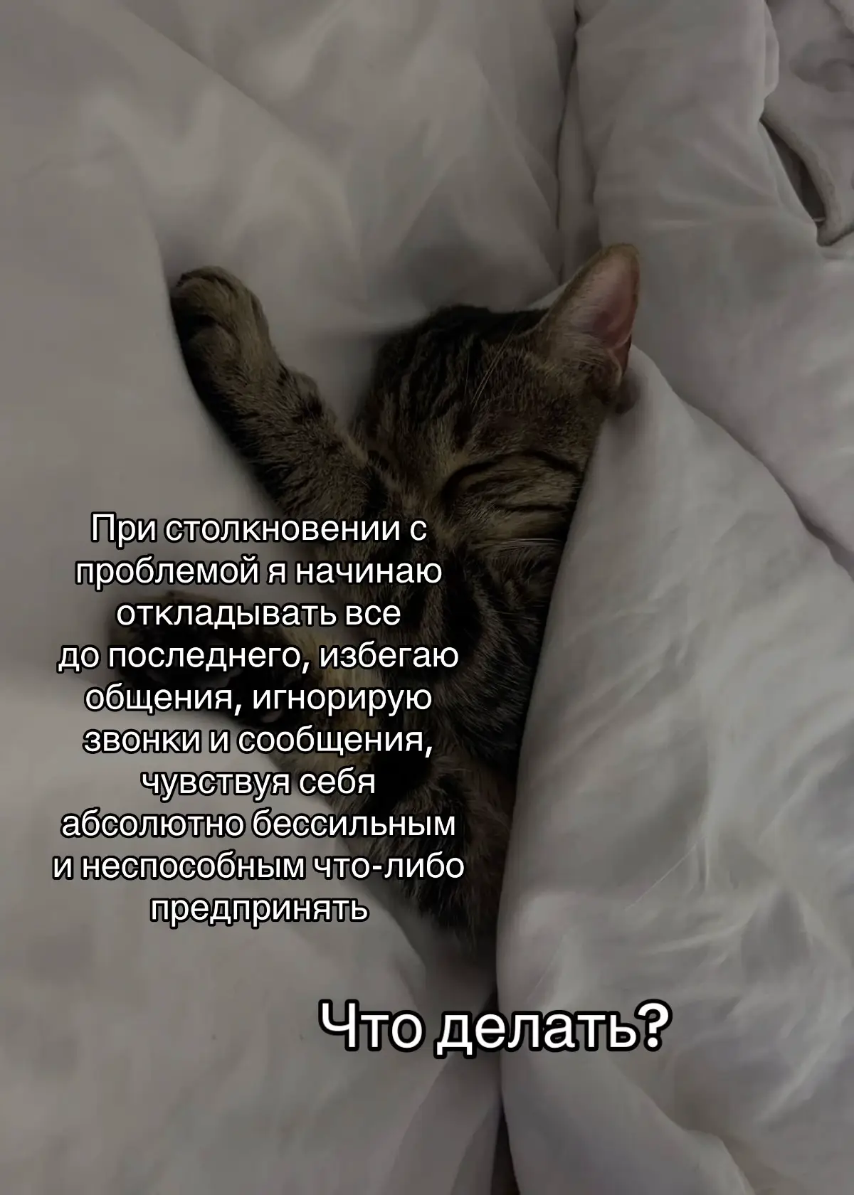 @тгк: психология с марго