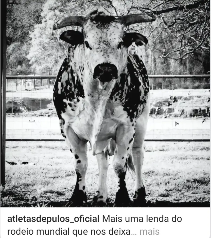 @cowboy 21🤘🏽⚙️🇧🇷🌾🇺🇸
