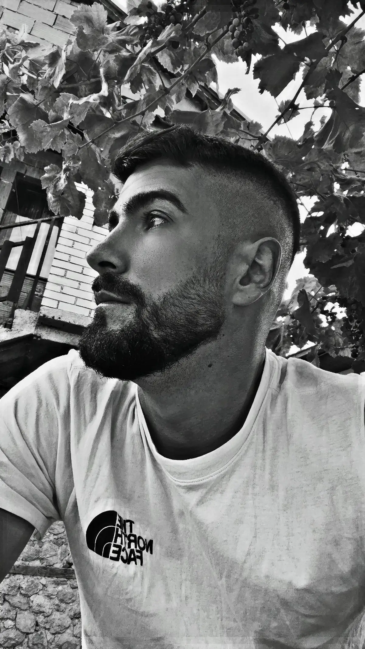 @🇧🇦🇧🇦bosanceros🇲🇰🇲🇰